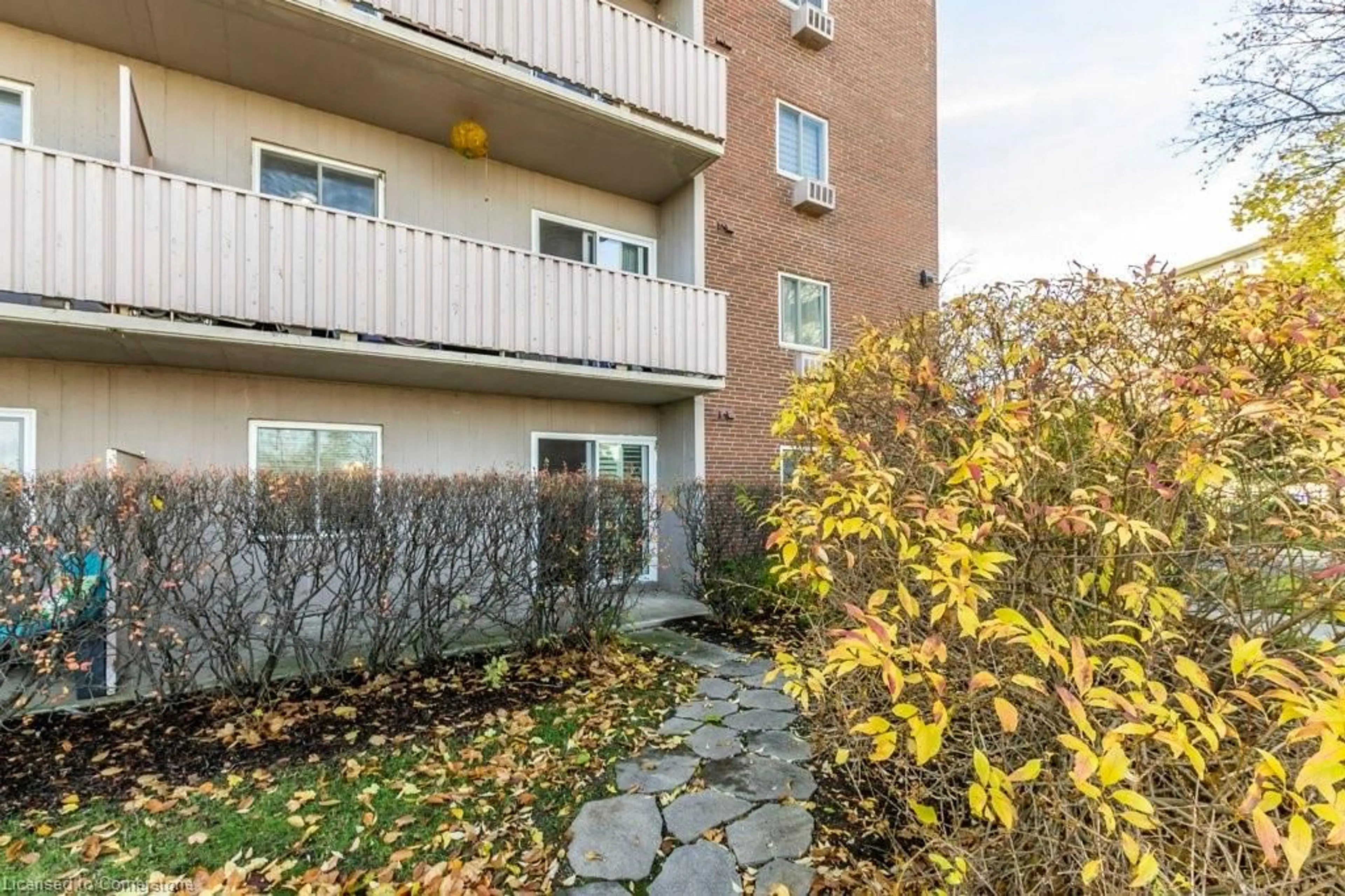 Patio, the front or back of building for 1106 Jalna Blvd #101, London Ontario N6E 2R9