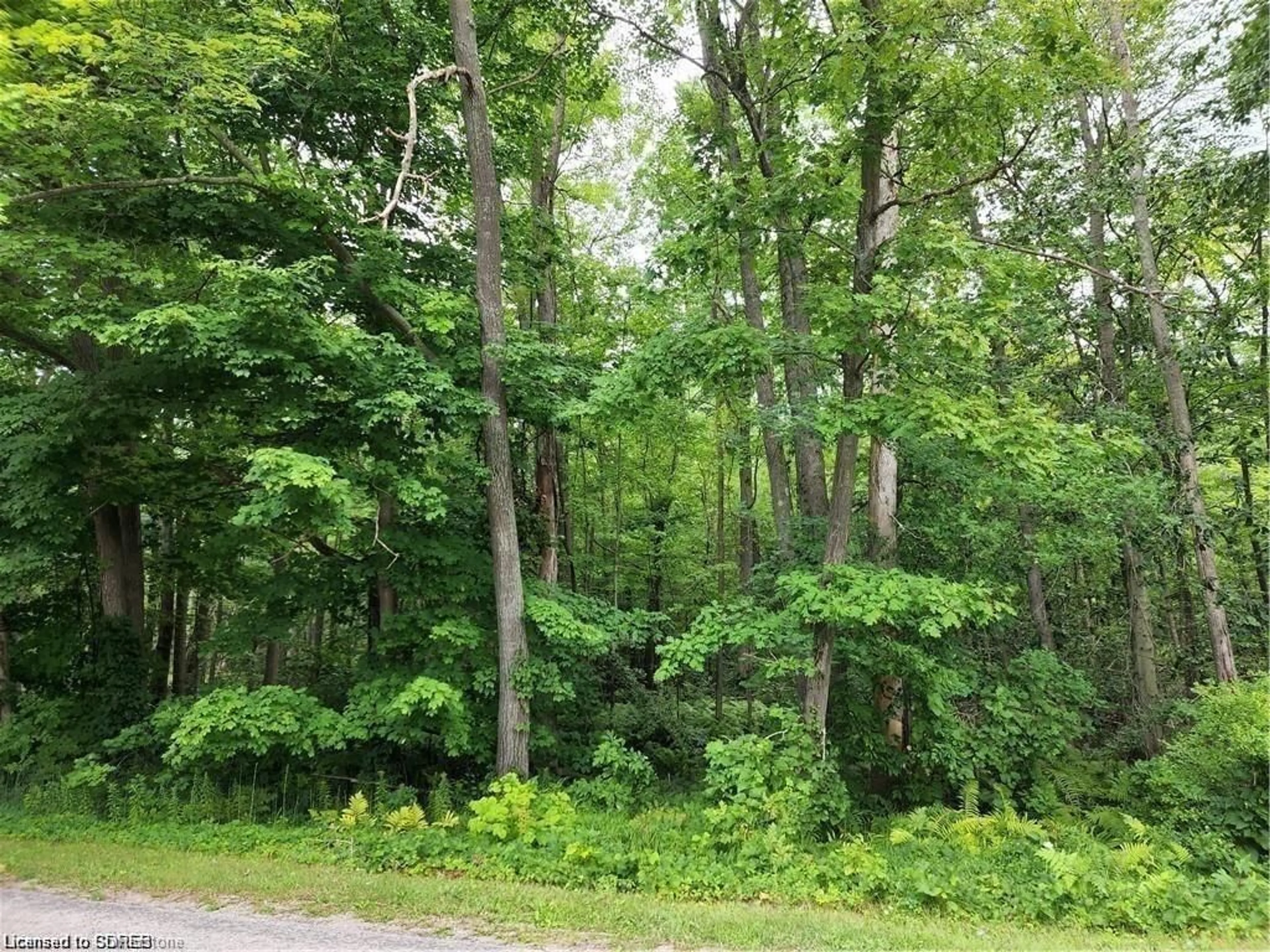 A pic from exterior of the house or condo, forest for PT LOT 20 7 Concession, Simcoe Ontario N3Y 4K1