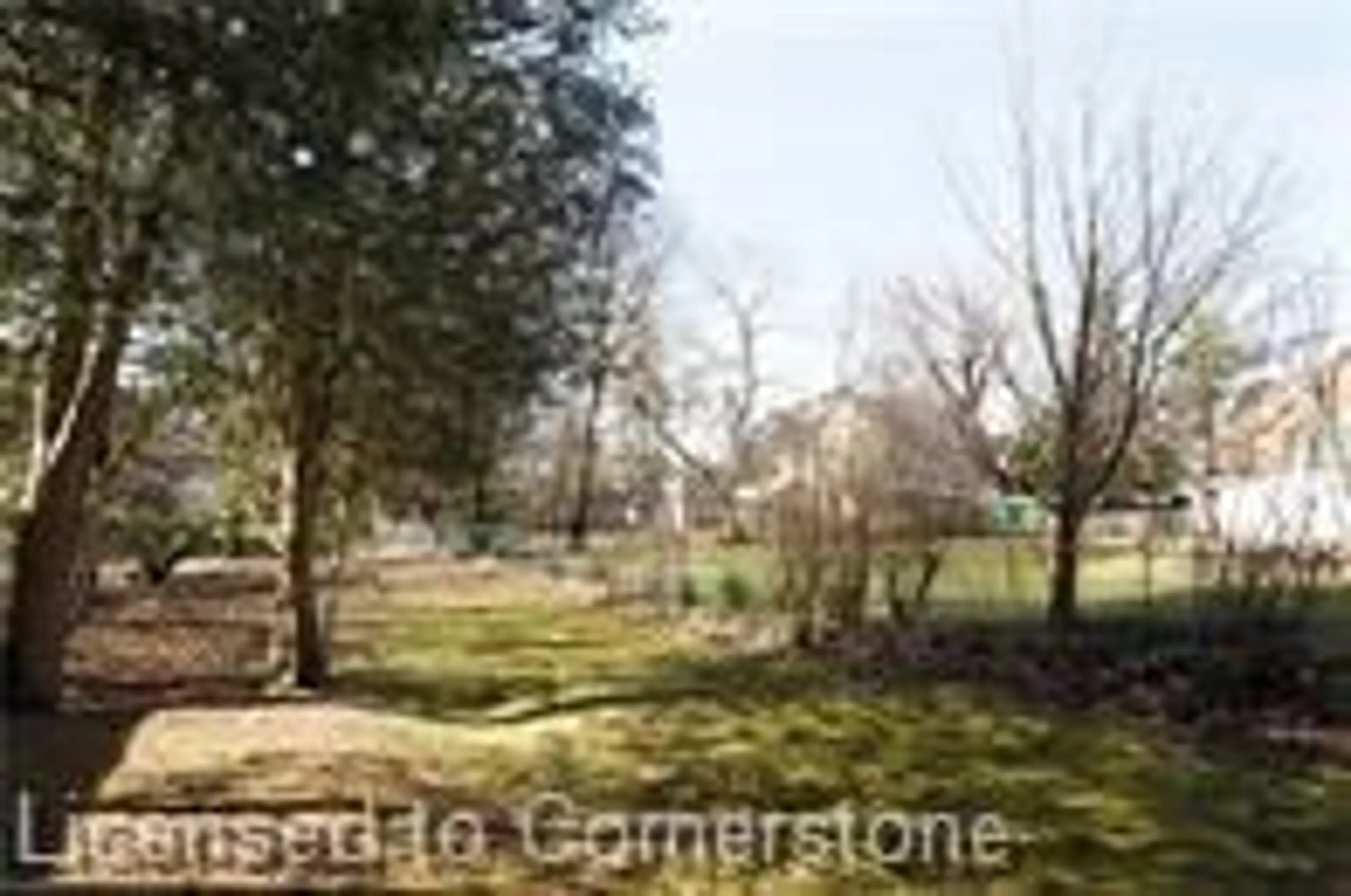 A pic from outside/outdoor area/front of a property/back of a property/a pic from drone, forest/trees view for 29 Noecker St, Waterloo Ontario N2J 2R5