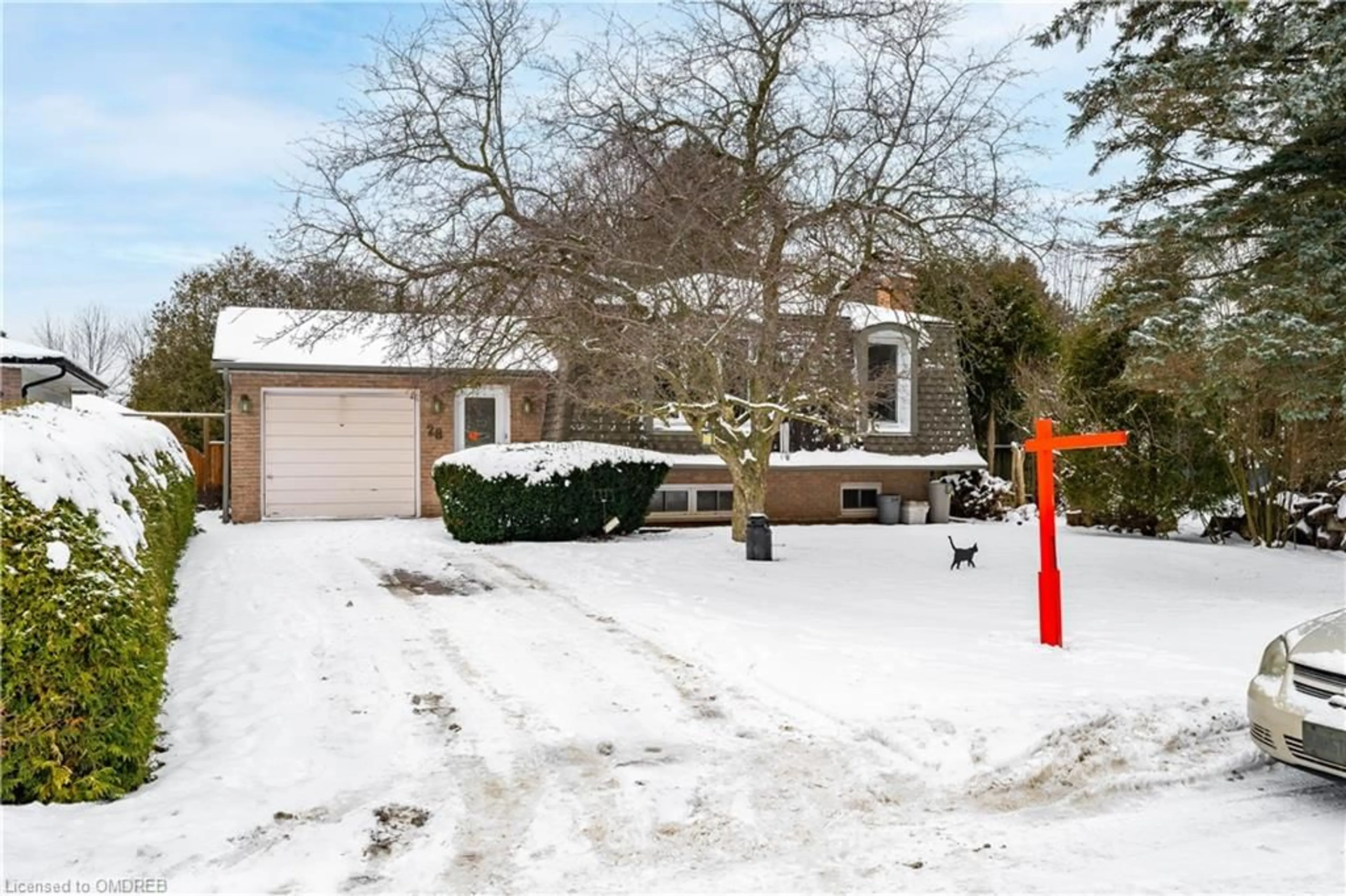 Frontside or backside of a home, the street view for 28 Norman Ave, Acton Ontario L7J 2R4