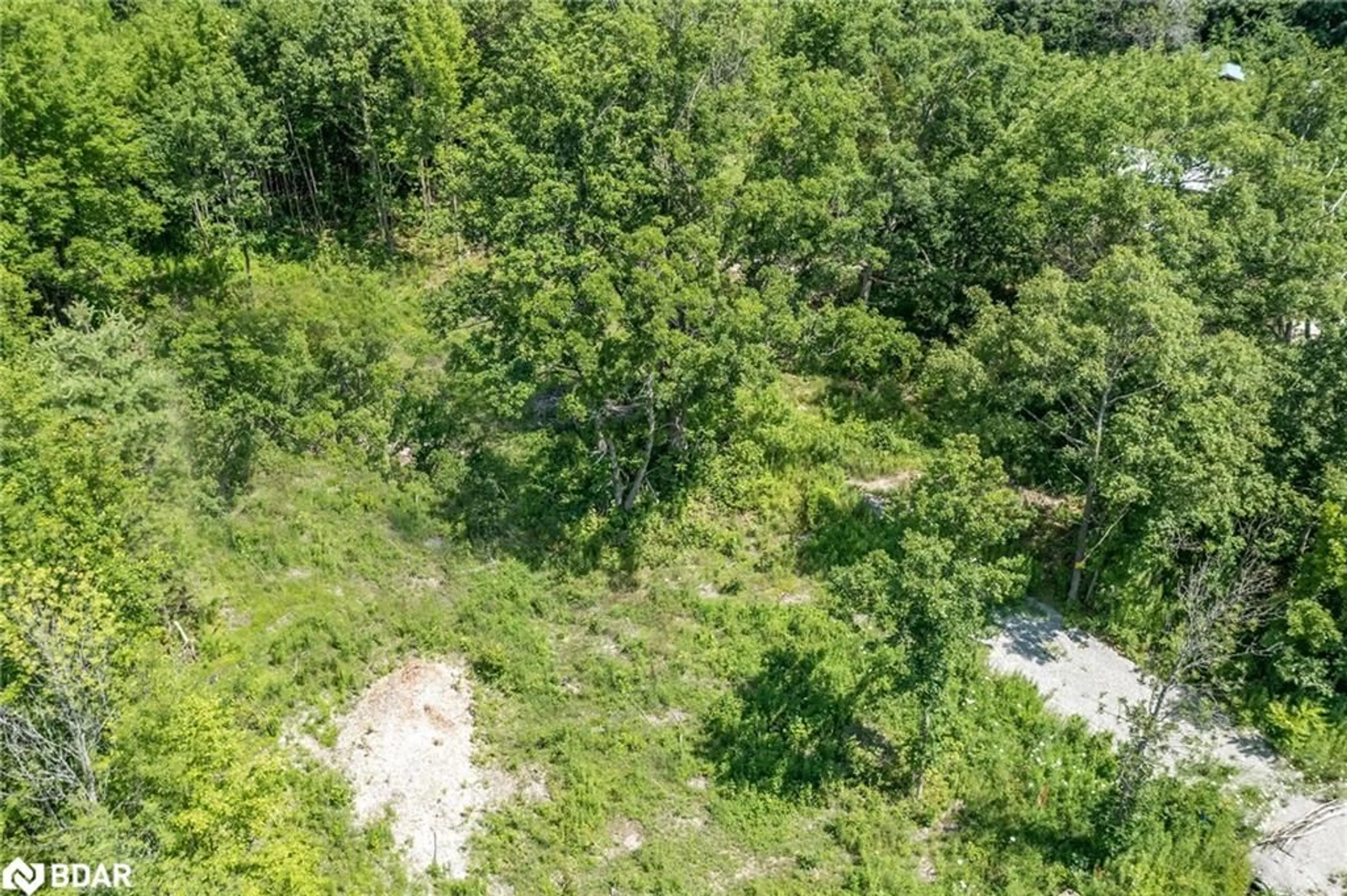 A pic from outside/outdoor area/front of a property/back of a property/a pic from drone, forest/trees view for 88 Musky Bay Rd, Port Severn Ontario L0K 1S0