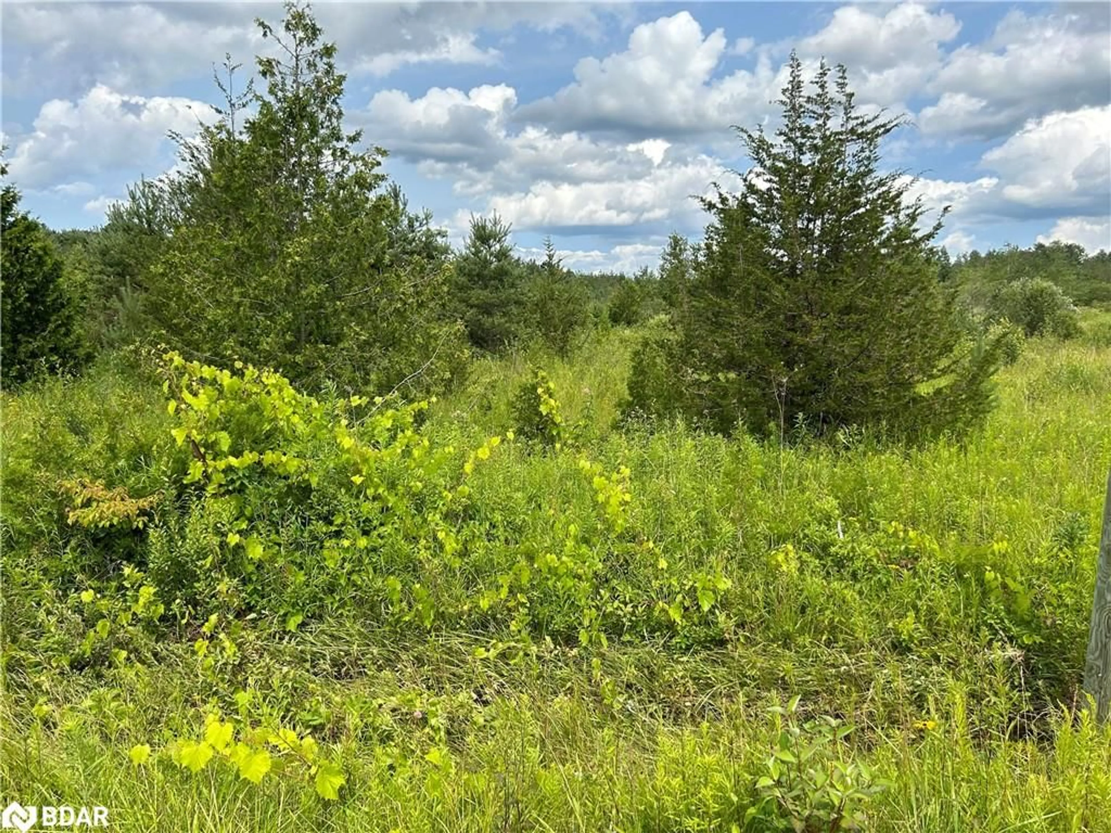 A pic from outside/outdoor area/front of a property/back of a property/a pic from drone, forest/trees view for 1125 Wood Rd, Wyebridge Ontario L0K 2E0