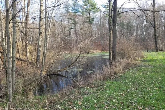 Additional property image - PT LT 22 Concession 2 Rd