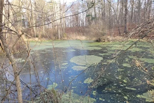 Additional property image - PT LT 22 Concession 2 Rd