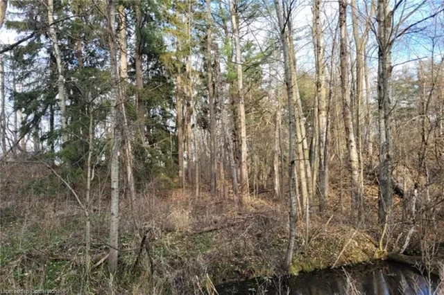 Additional property image - PT LT 22 Concession 2 Rd