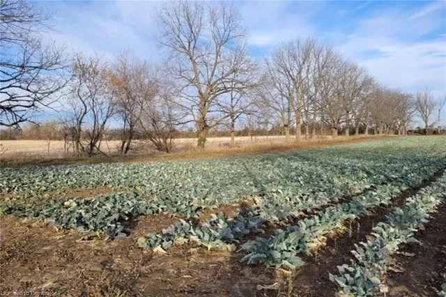 Additional property image - PT LT 22 Concession 2 Rd