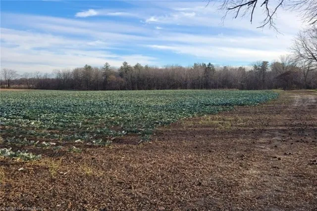 Additional property image - PT LT 22 Concession 2 Rd