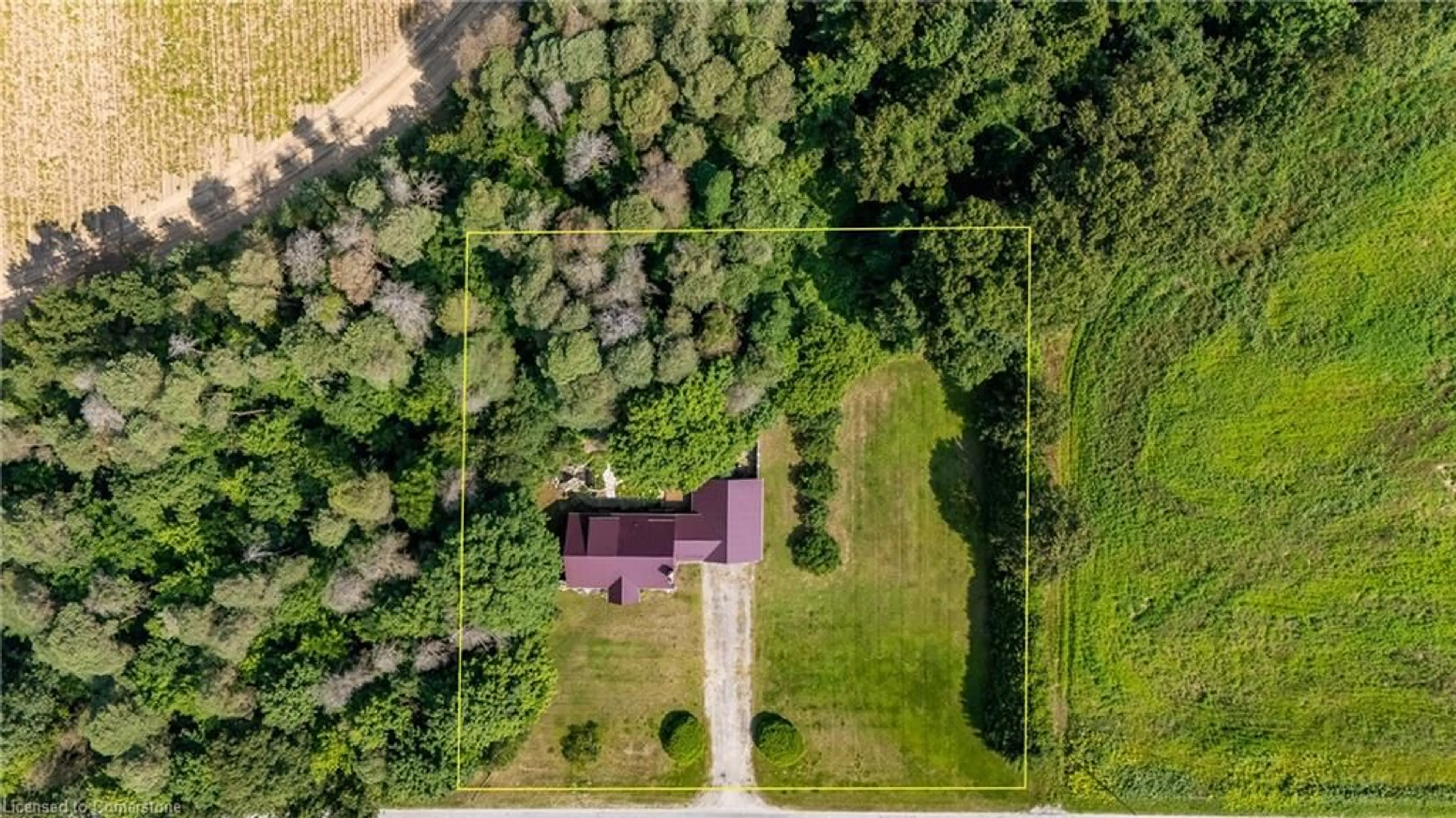 A pic from outside/outdoor area/front of a property/back of a property/a pic from drone, forest/trees view for 537 Windham 14 Rd, Simcoe Ontario N3Y 4K6