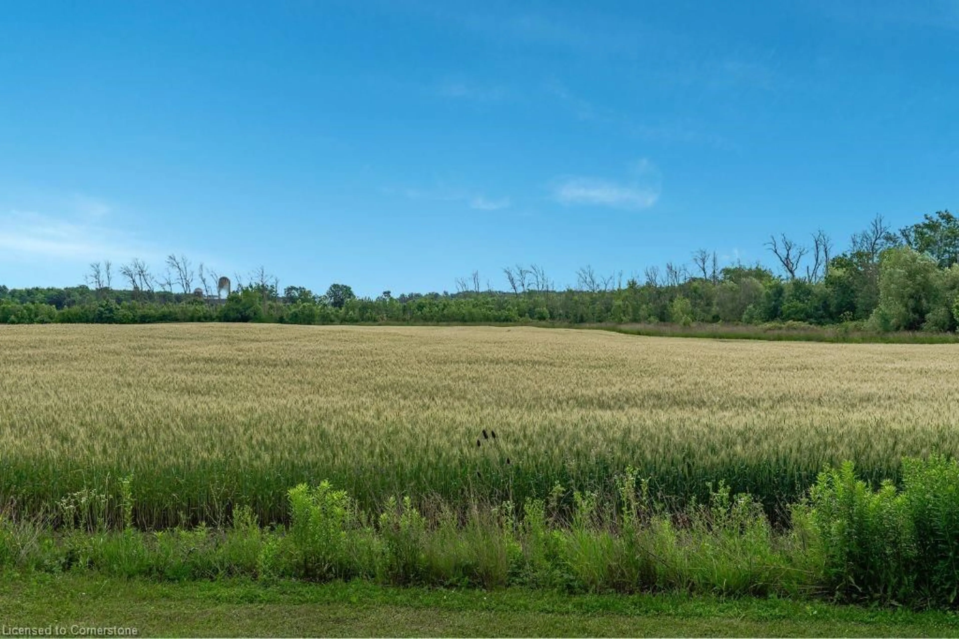 Unknown for 1386 Townline Rd, Canfield Ontario N0A 1C0
