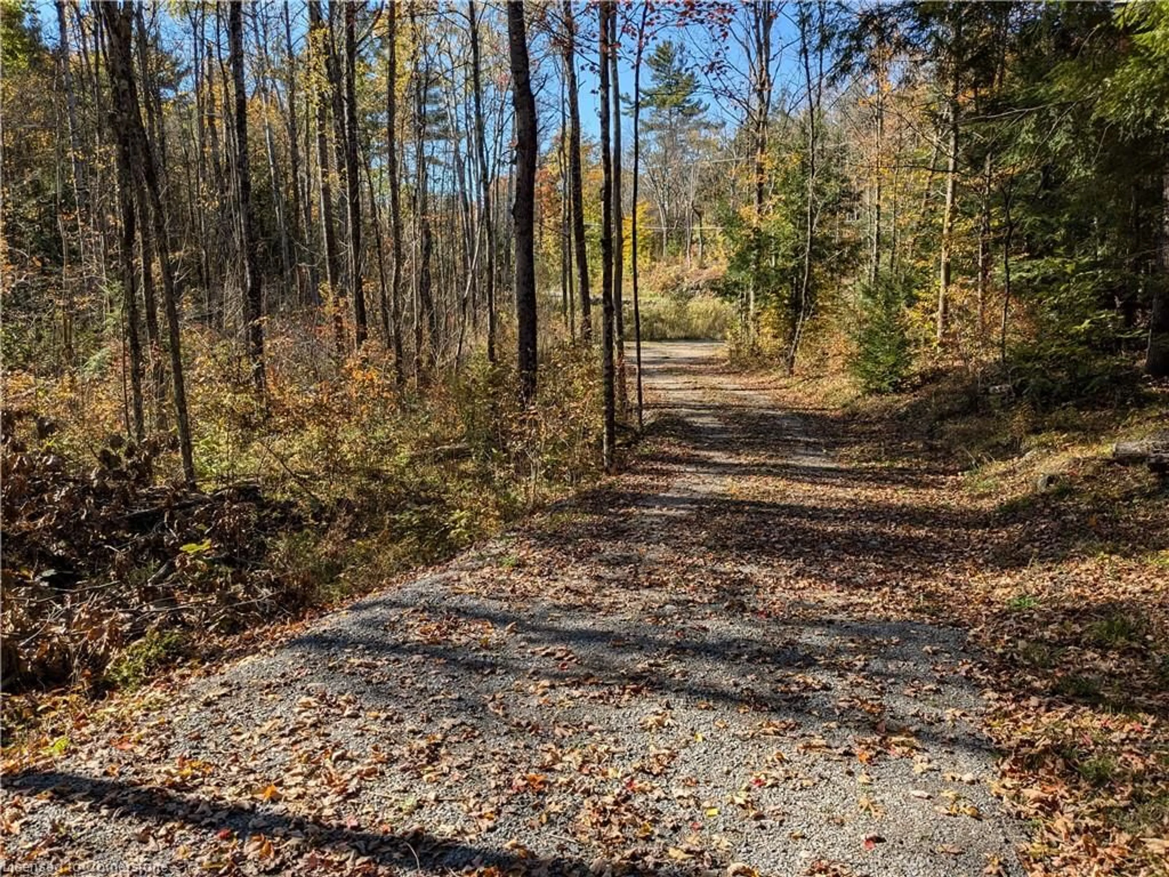 A pic from outside/outdoor area/front of a property/back of a property/a pic from drone, forest/trees view for 1060 Nordic Rd, Arden Ontario K0H 1B0