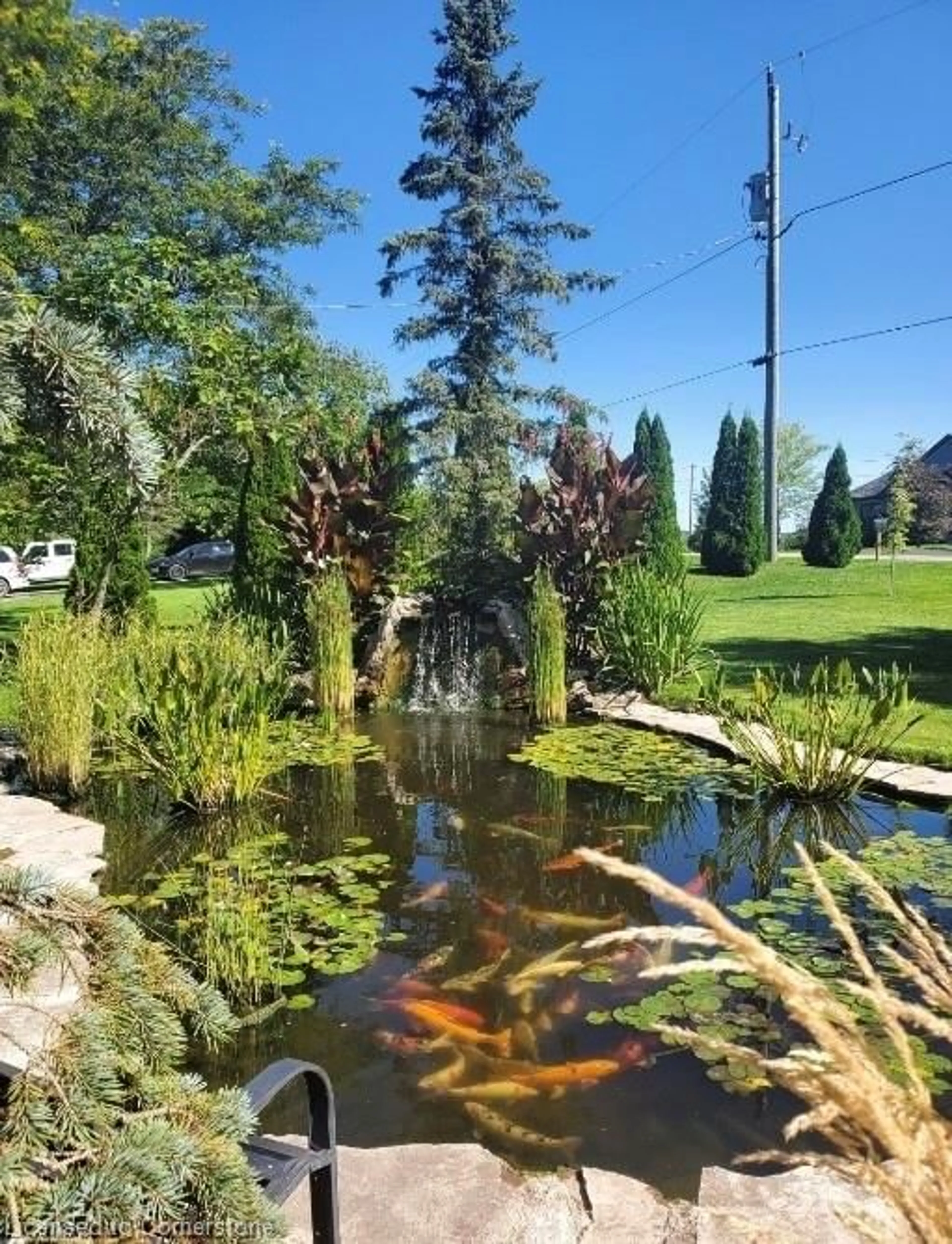 Pool for 12 Sims Lock Rd, Caledonia Ontario N3W 1V8