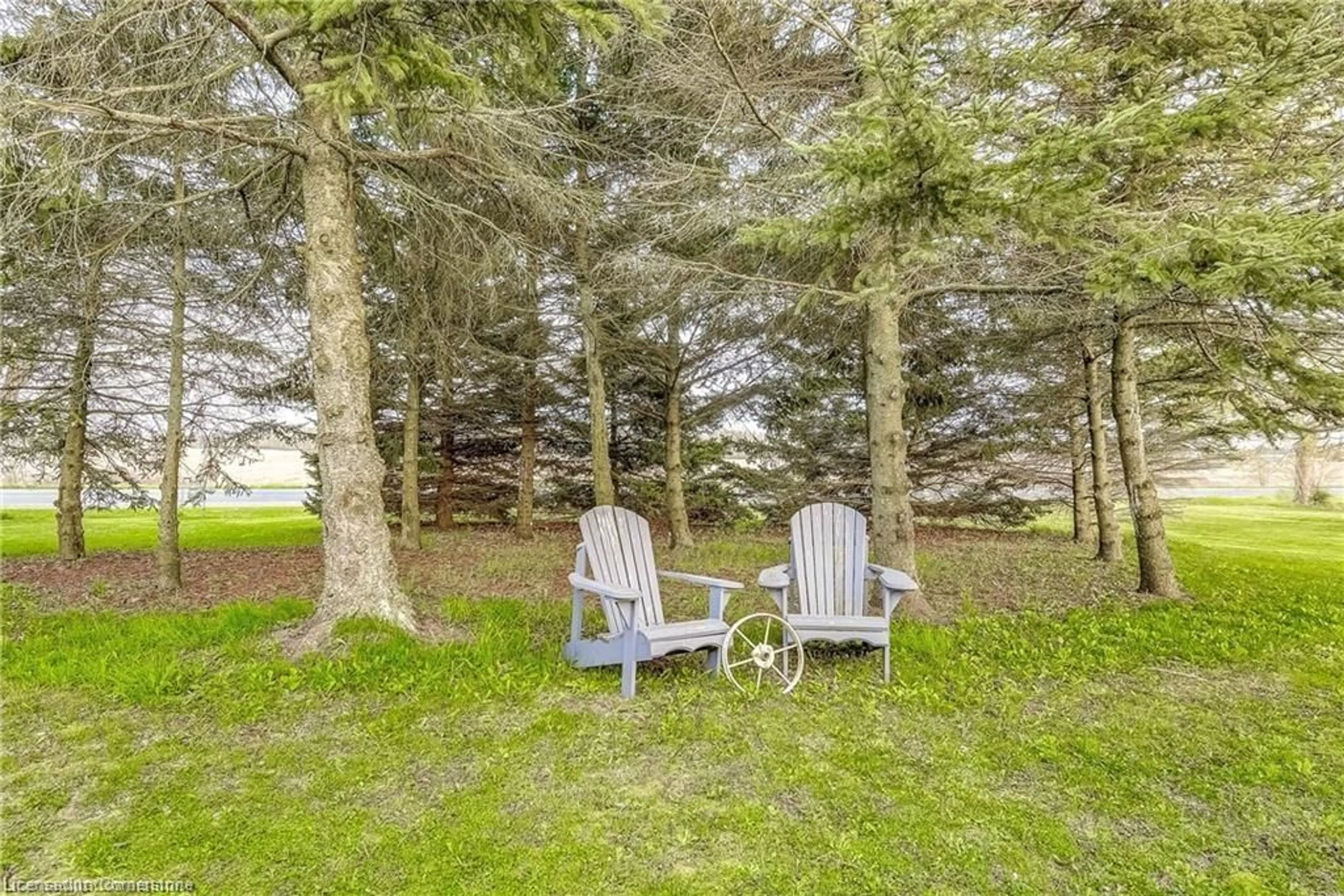 Patio, forest/trees view for 3759 #3 Hwy, Hagersville Ontario N0A 1H0