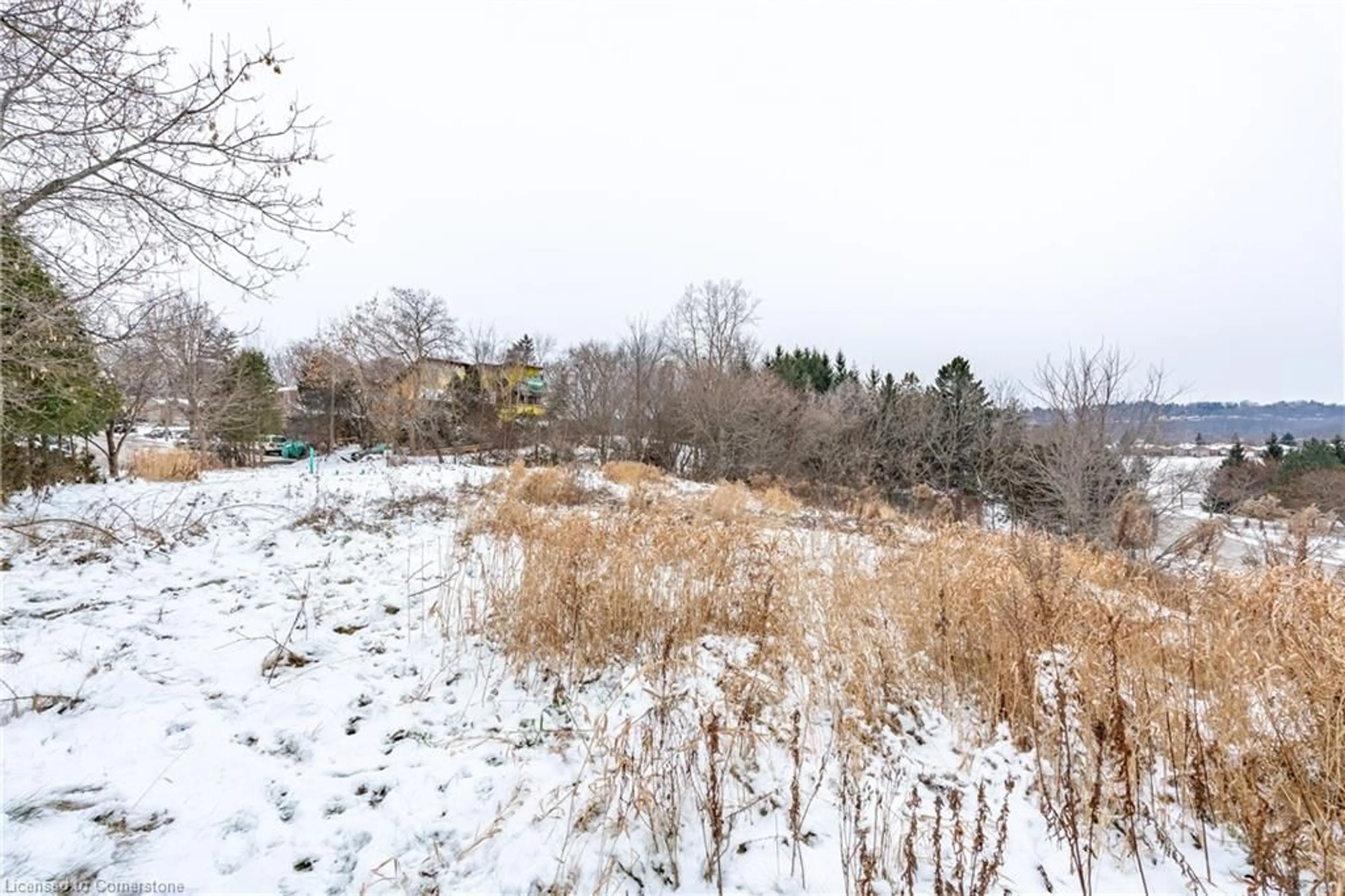 A pic from outside/outdoor area/front of a property/back of a property/a pic from drone, forest/trees view for 7 Ridgewood Blvd, Dundas Ontario L9H 7A4