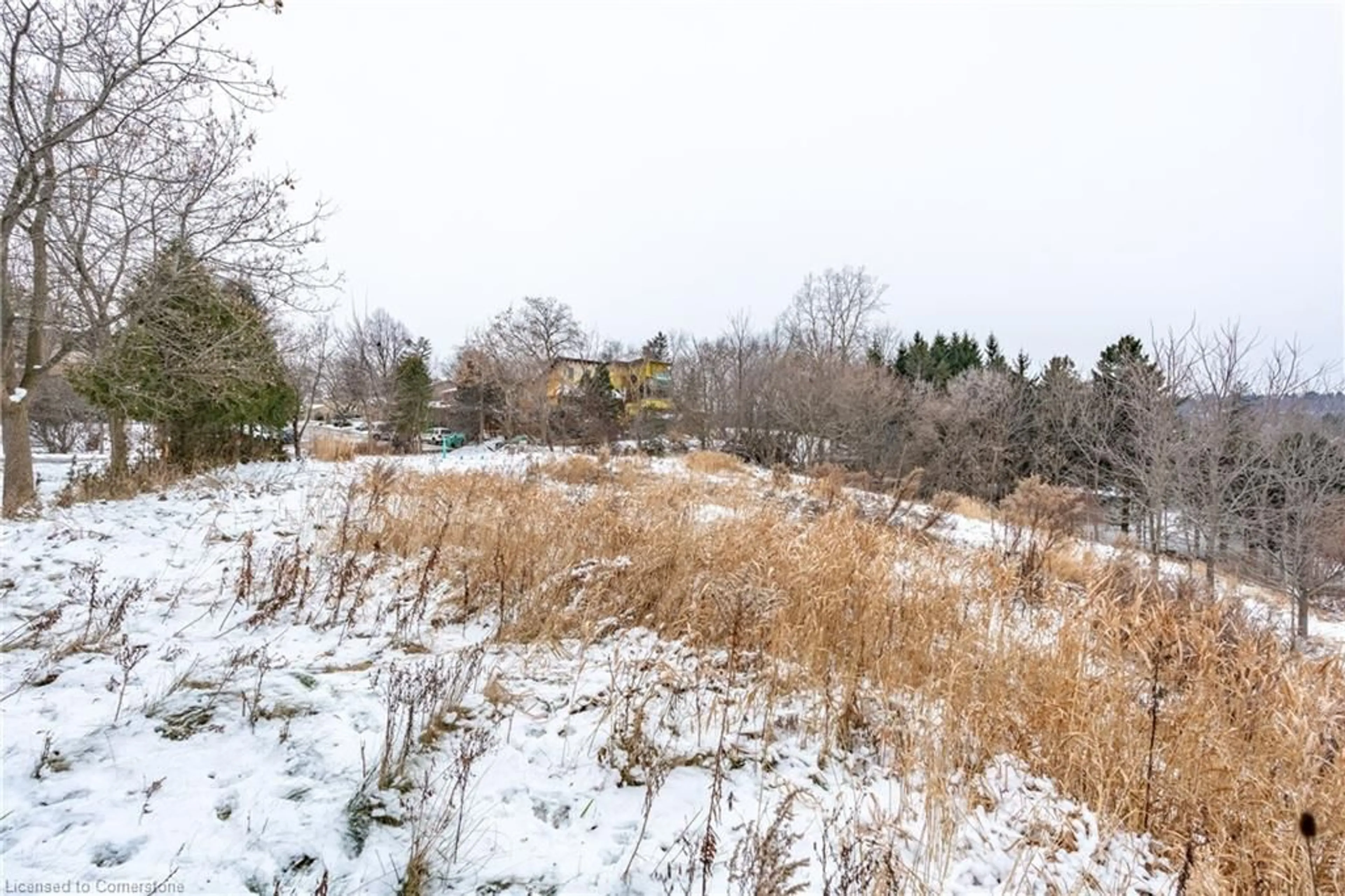 A pic from outside/outdoor area/front of a property/back of a property/a pic from drone, forest/trees view for 7 Ridgewood Blvd, Dundas Ontario L9H 7A4