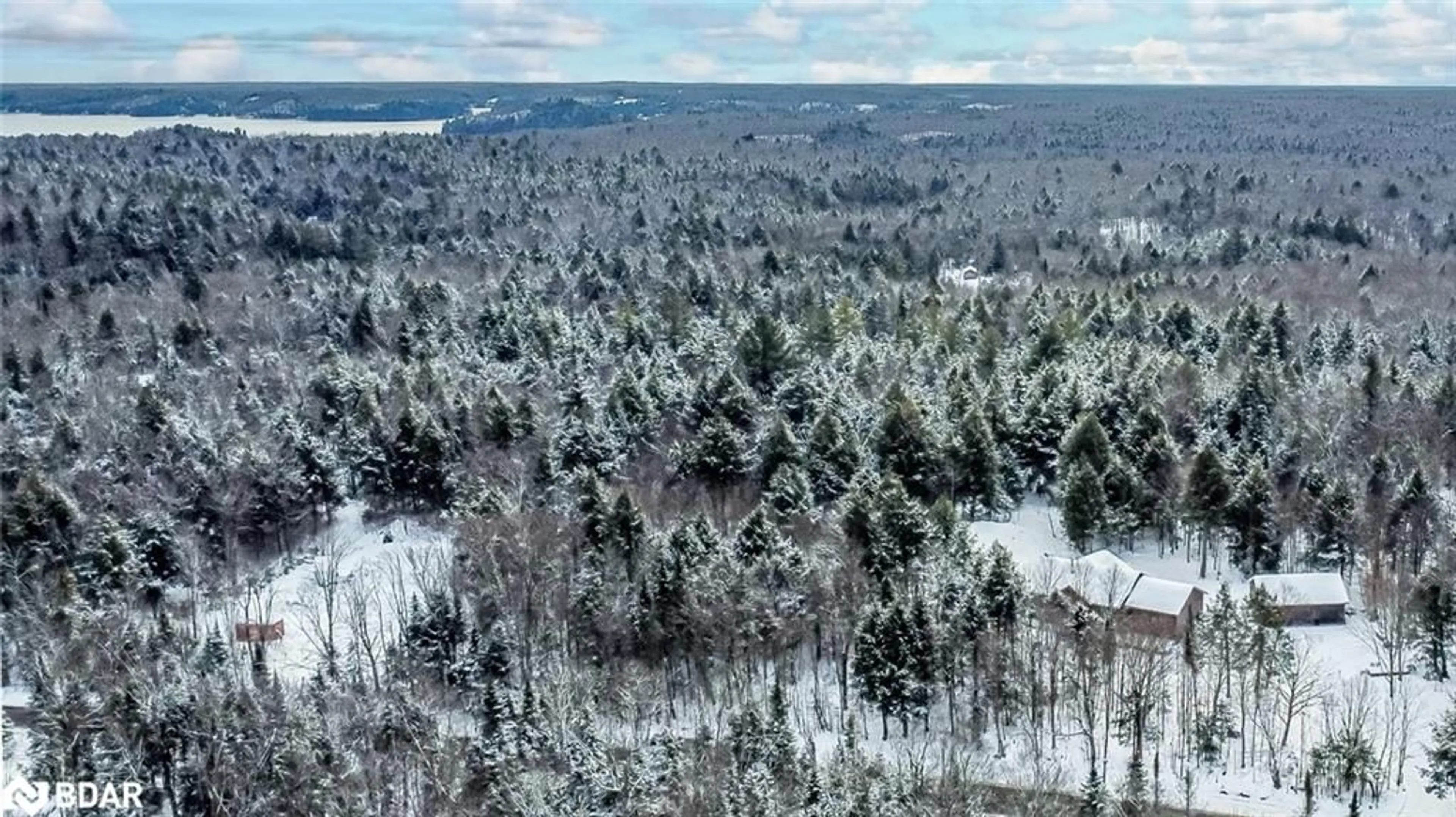 A pic from outside/outdoor area/front of a property/back of a property/a pic from drone, forest/trees view for 4571 Aspdin Rd, Utterson Ontario P0B 1M0