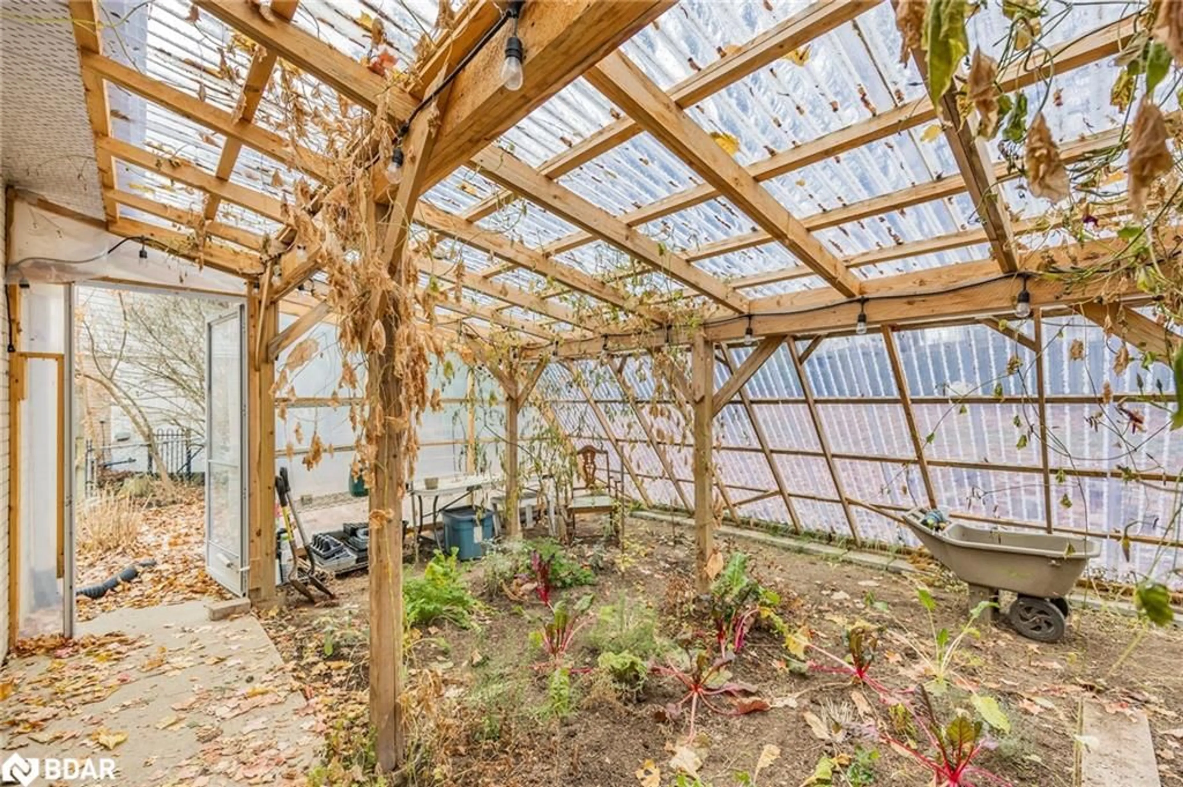 Patio, forest/trees view for 12 Curtiss Crt, Barrie Ontario L4M 2M7