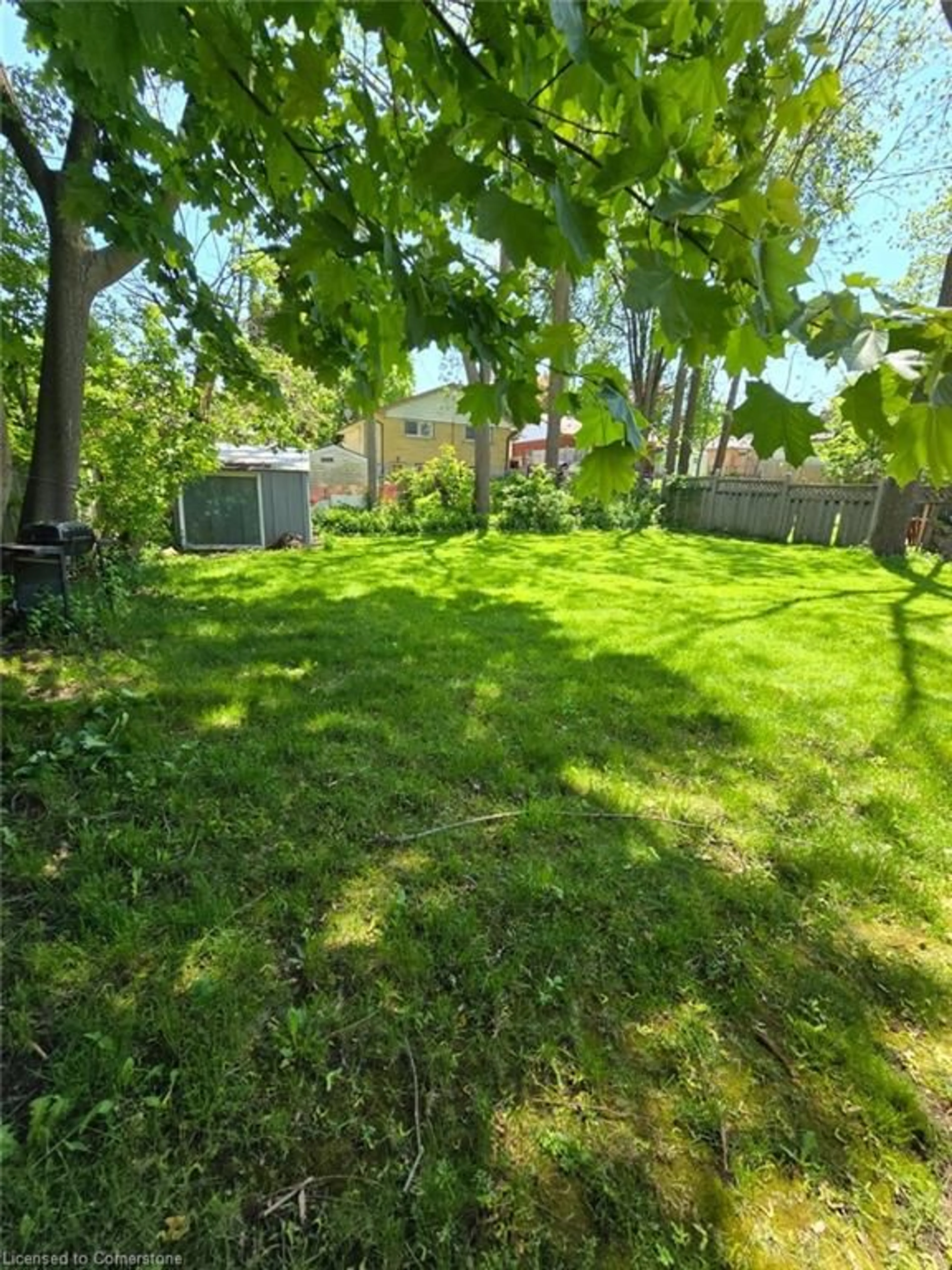 A pic from outside/outdoor area/front of a property/back of a property/a pic from drone, street for 49 Marshall St #B, Waterloo Ontario N2J 2T3