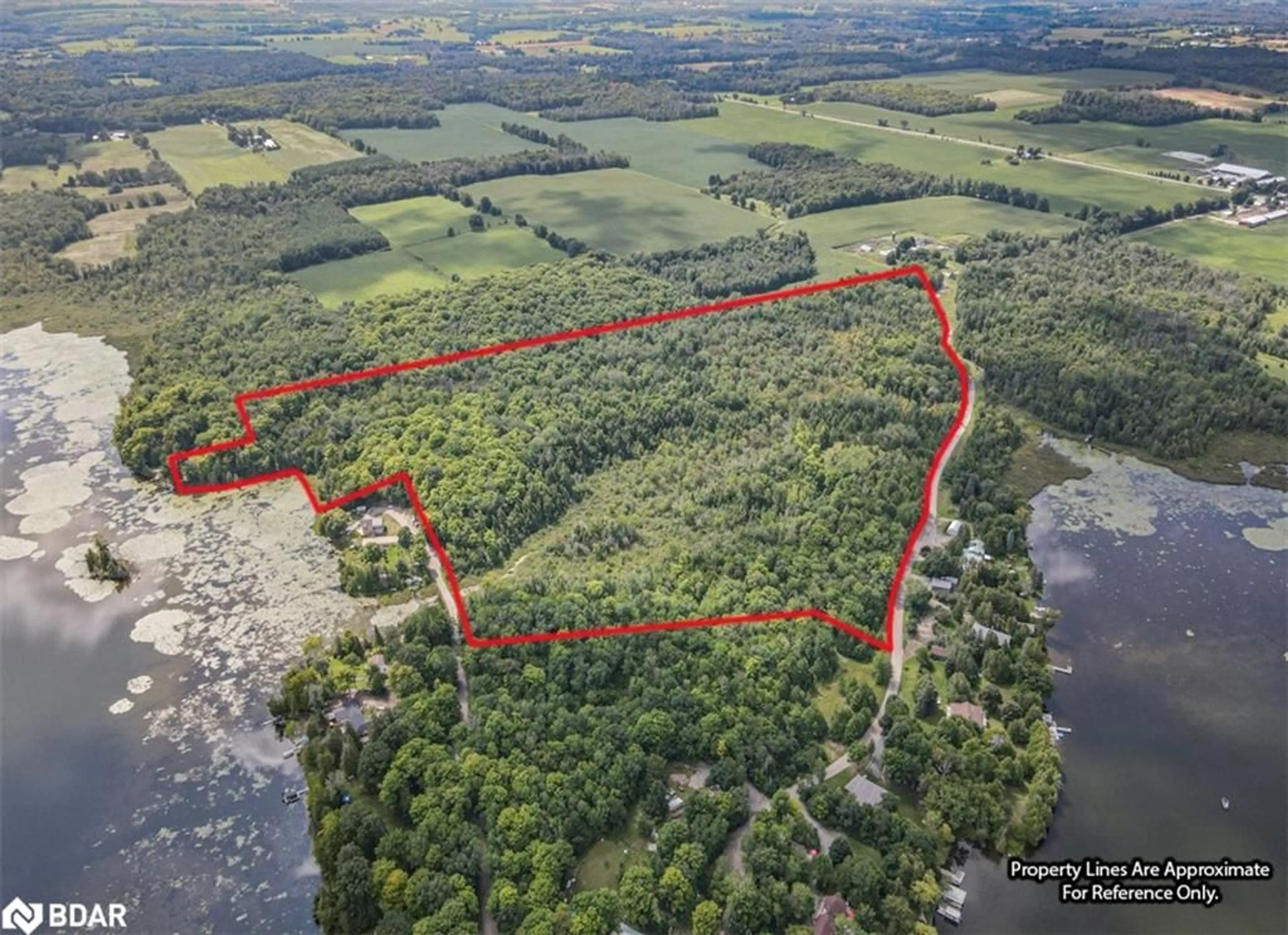 A pic from outside/outdoor area/front of a property/back of a property/a pic from drone, forest/trees view for N/A Birch Point Rd, Trent Hills Ontario K0L 1Y0