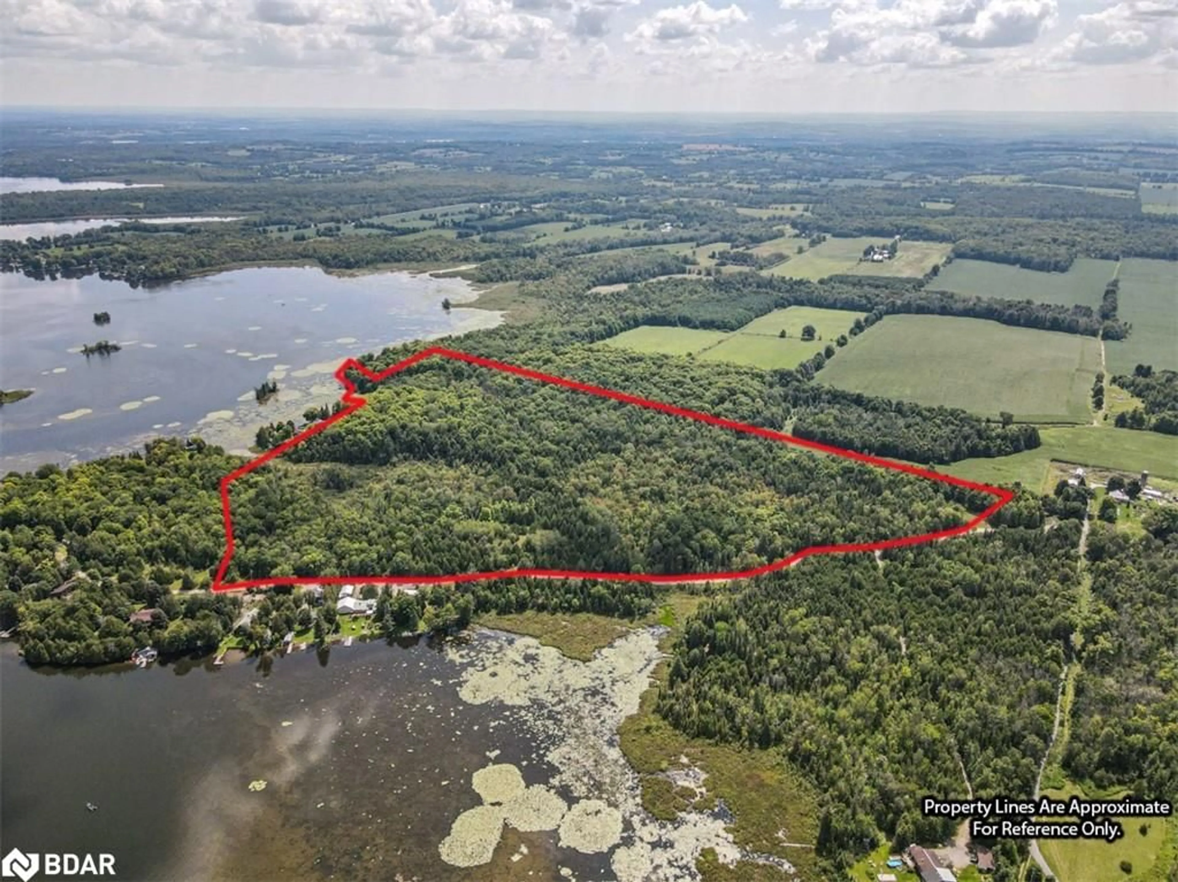 A pic from outside/outdoor area/front of a property/back of a property/a pic from drone, water/lake/river/ocean view for N/A Birch Point Rd, Trent Hills Ontario K0L 1Y0