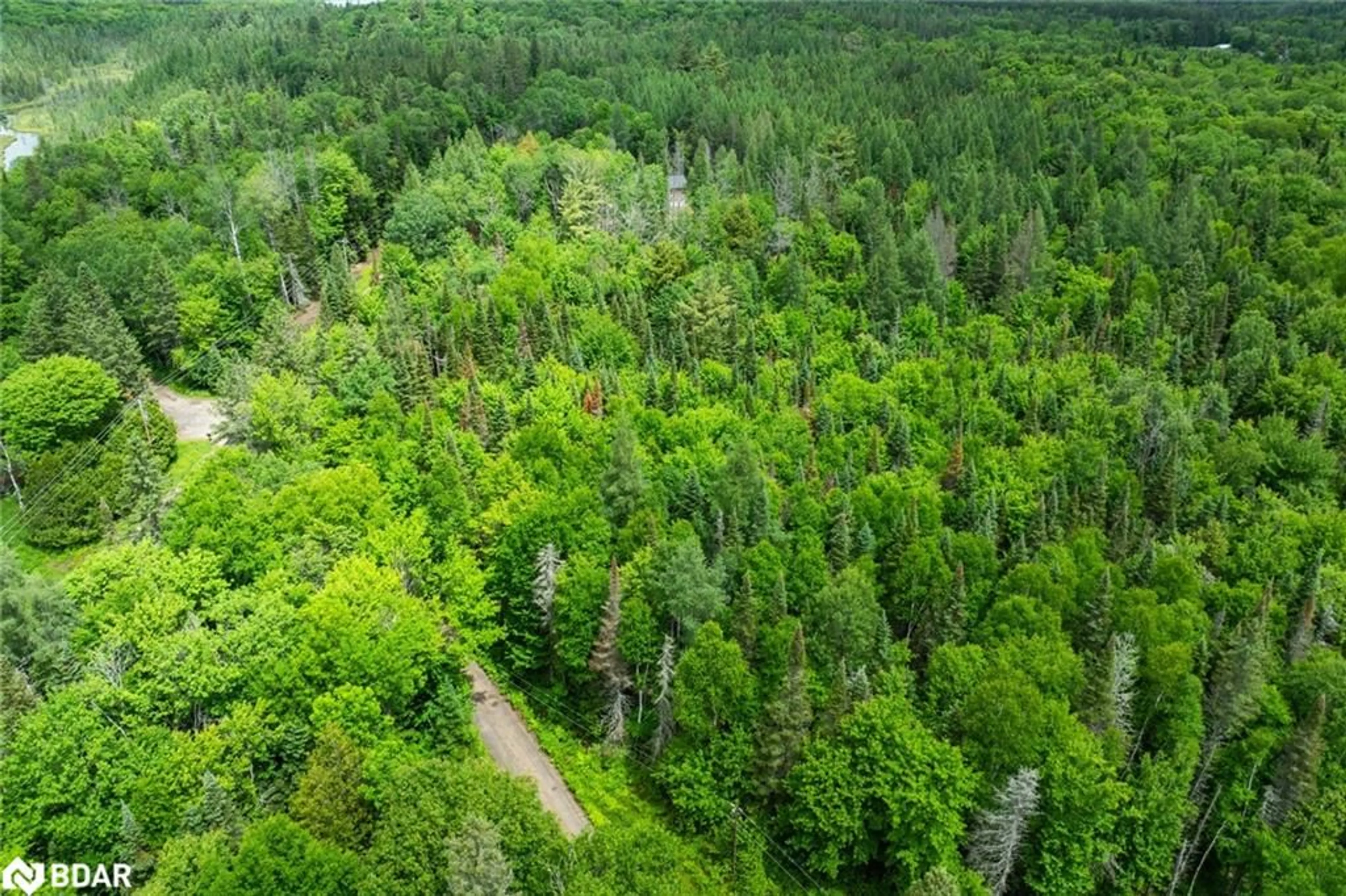 A pic from outside/outdoor area/front of a property/back of a property/a pic from drone, forest/trees view for 2661 Highway 518, Kearney Ontario P0A 1M0