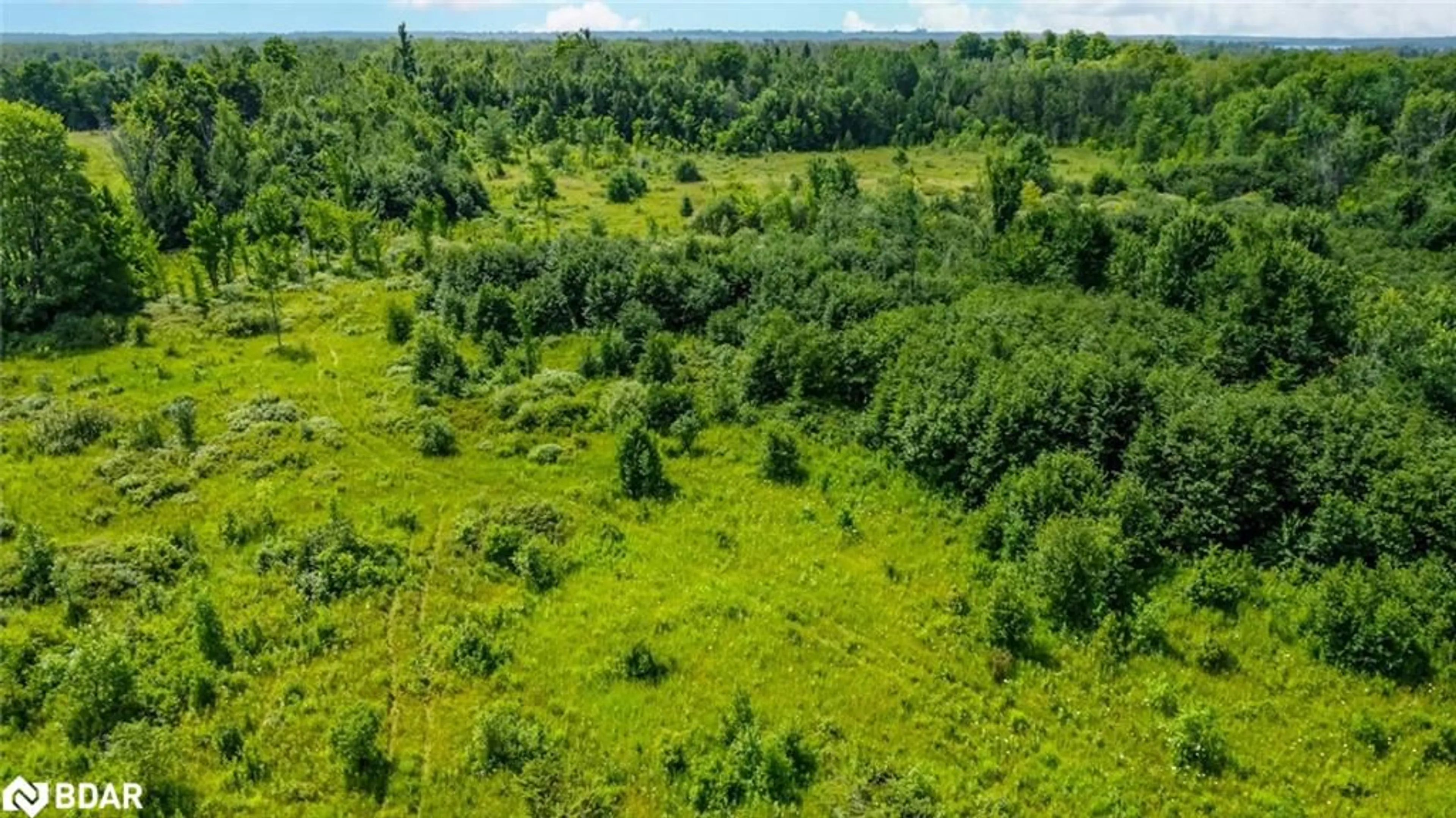 A pic from outside/outdoor area/front of a property/back of a property/a pic from drone, forest/trees view for LOT 5 Concession 5, Carden Ontario K0M 2B0