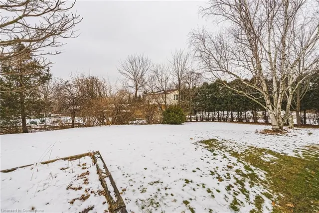 Additional property image - 61 Home St