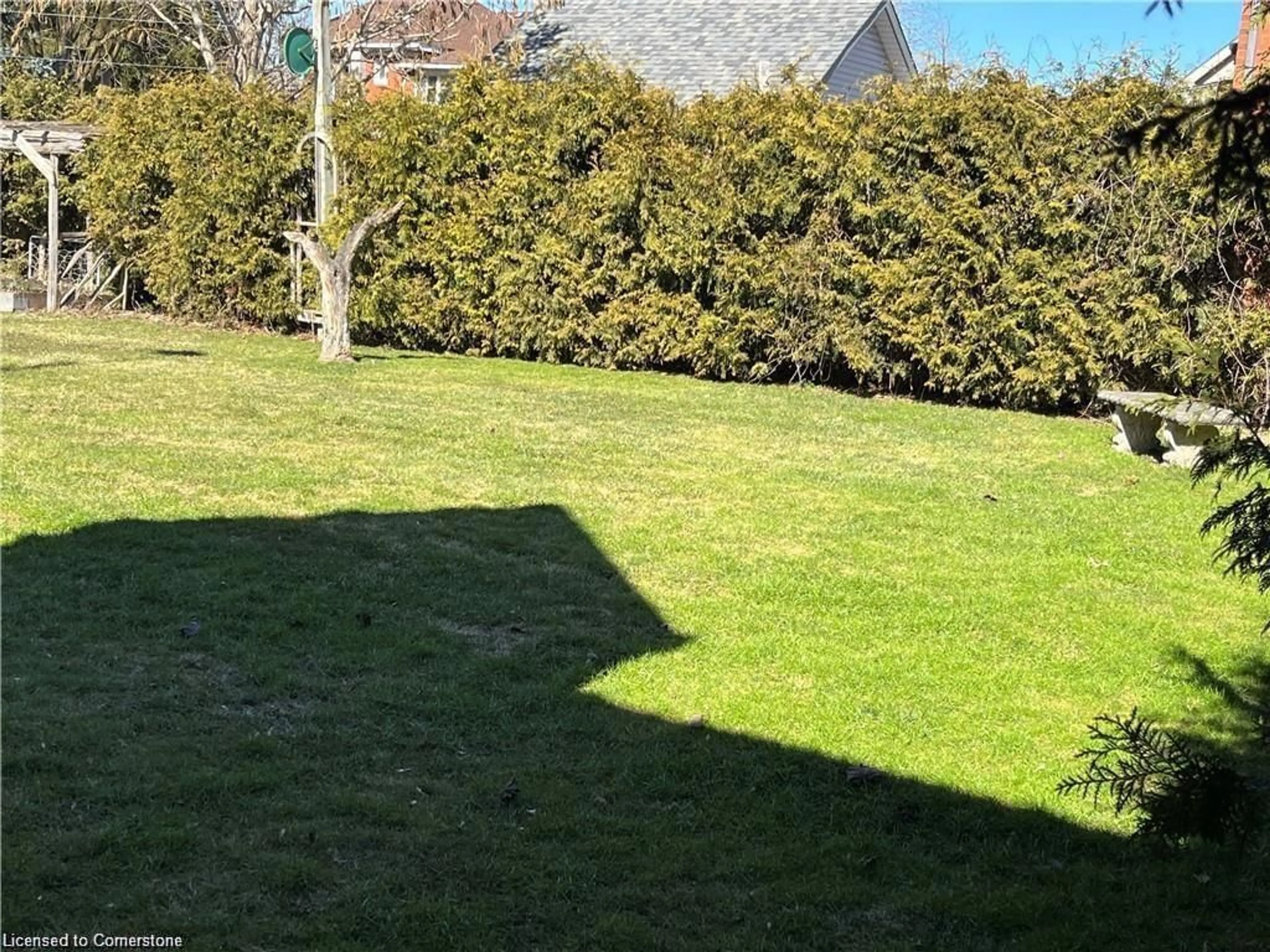 A pic from outside/outdoor area/front of a property/back of a property/a pic from drone, forest/trees view for 244 Main St, Atwood Ontario N0G 1V0