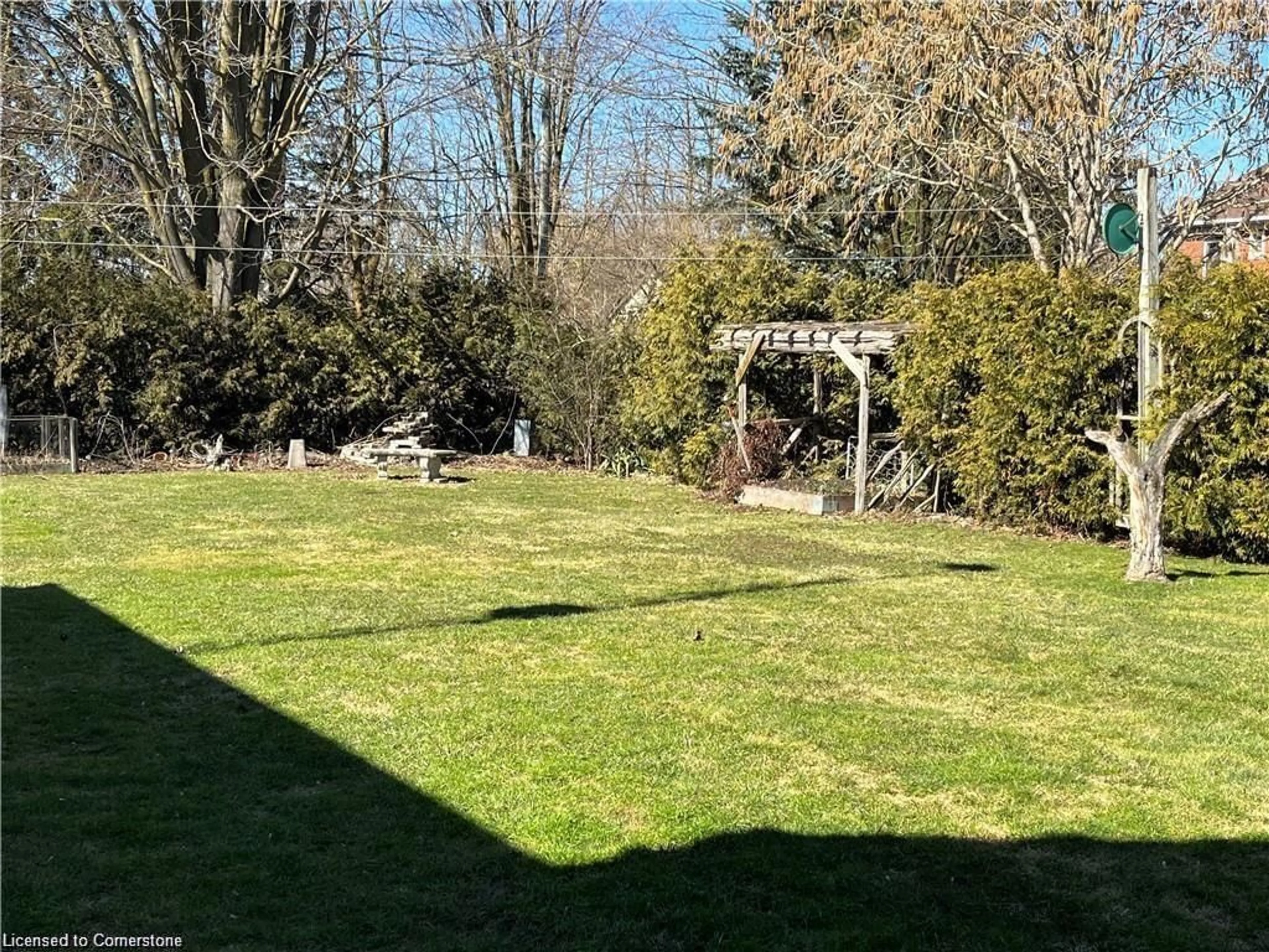 A pic from outside/outdoor area/front of a property/back of a property/a pic from drone, forest/trees view for 244 Main St, Atwood Ontario N0G 1V0