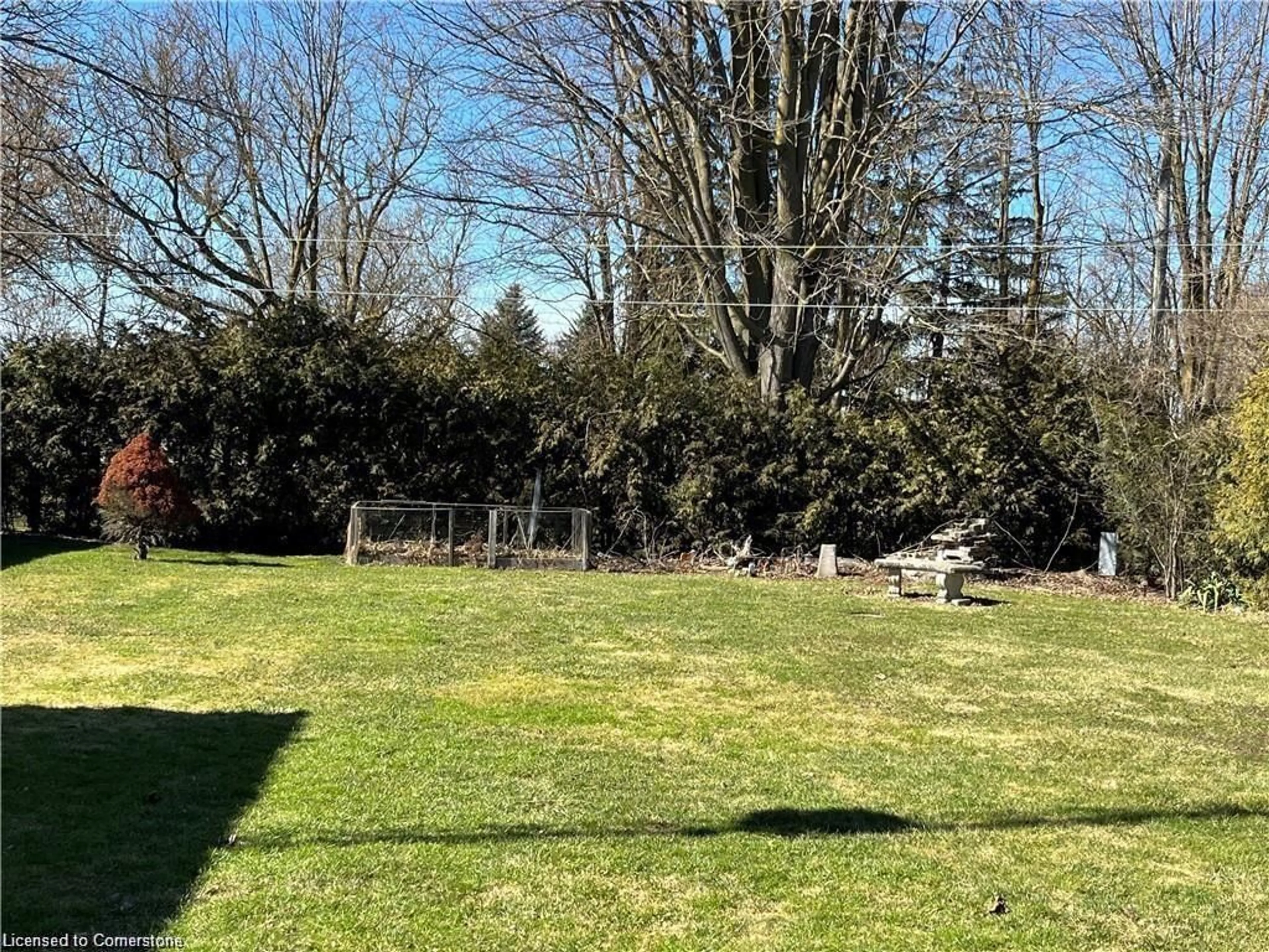 A pic from outside/outdoor area/front of a property/back of a property/a pic from drone, forest/trees view for 244 Main St, Atwood Ontario N0G 1V0