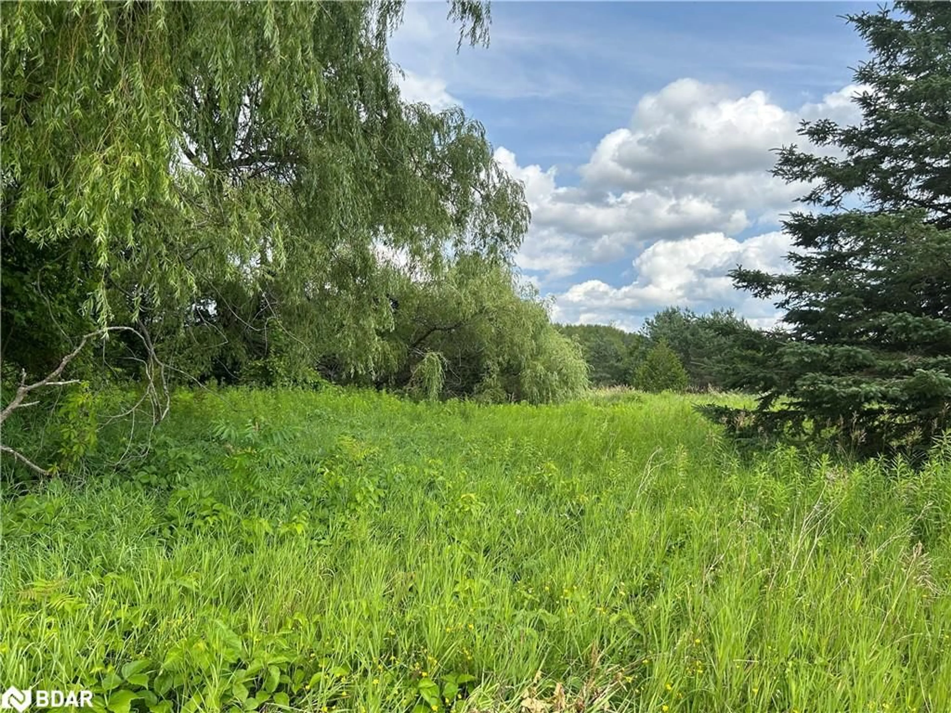 A pic from outside/outdoor area/front of a property/back of a property/a pic from drone, forest/trees view for 1155 Wood Rd, Wyebridge Ontario L0K 2E0