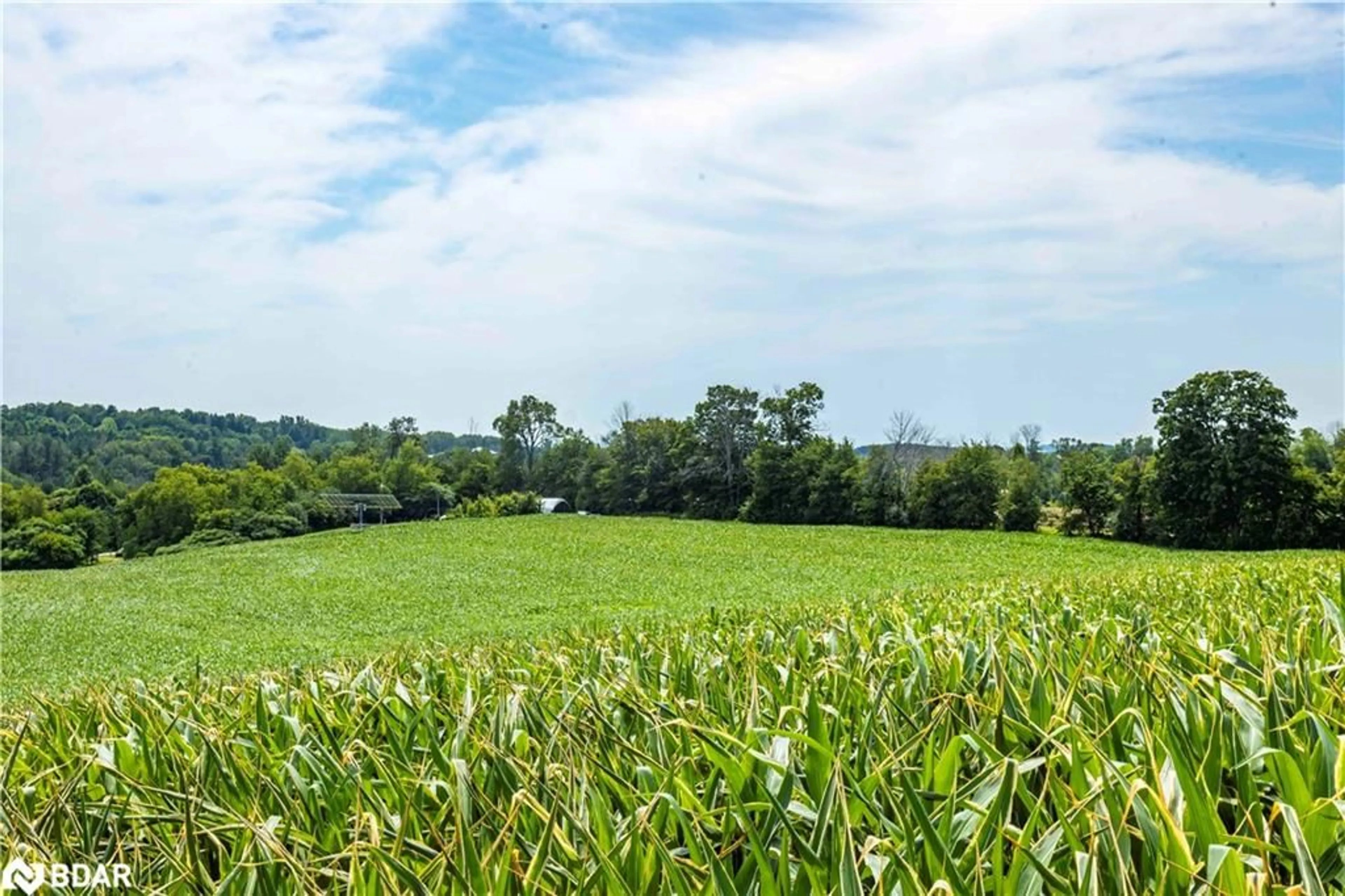 A pic from outside/outdoor area/front of a property/back of a property/a pic from drone, forest/trees view for 00 Smylie Rd, Hamilton Twp Ontario K9A 4J7