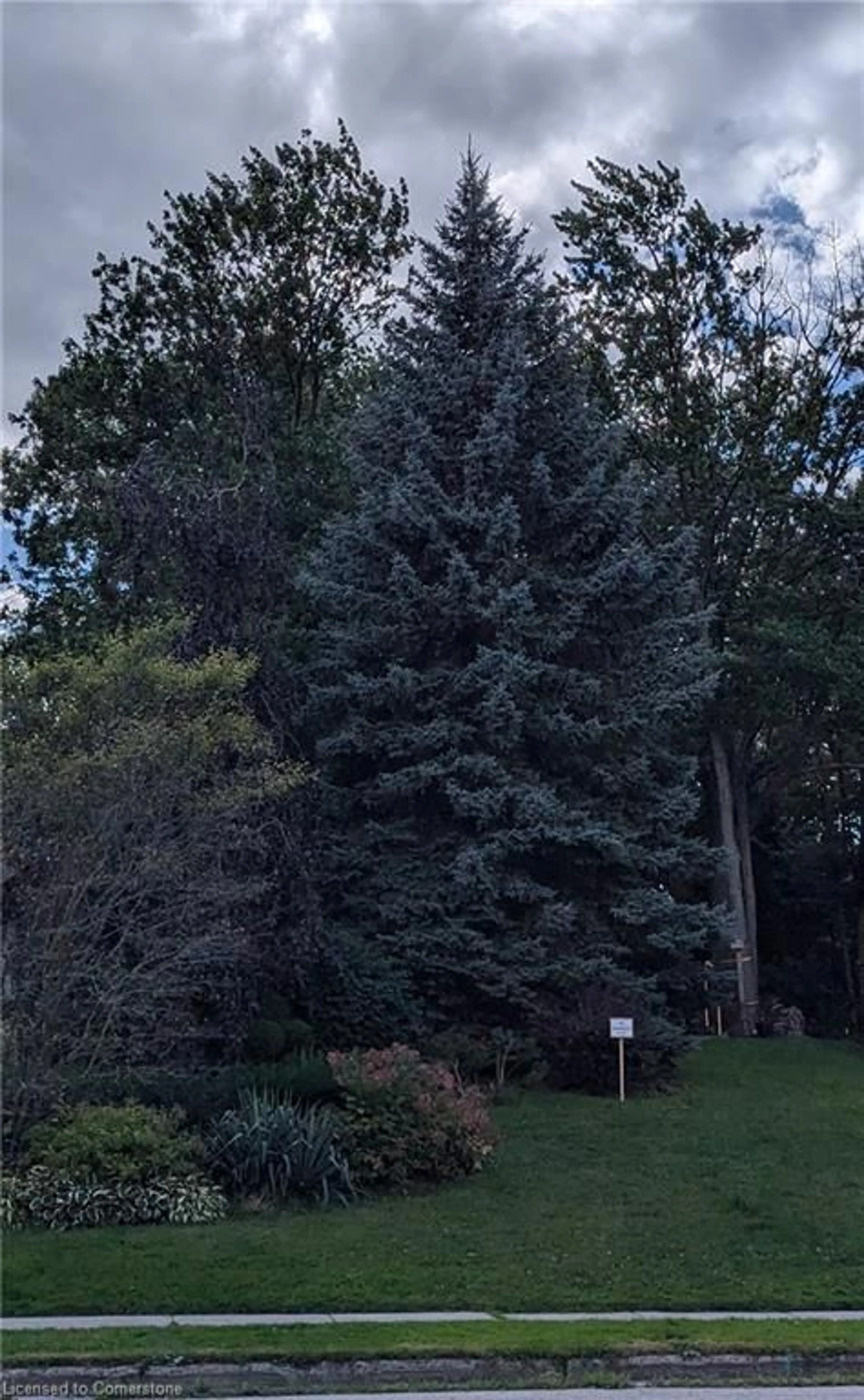 A pic from outside/outdoor area/front of a property/back of a property/a pic from drone, forest/trees view for 18 Parkwood Dr, Cambridge Ontario N1S 3K7