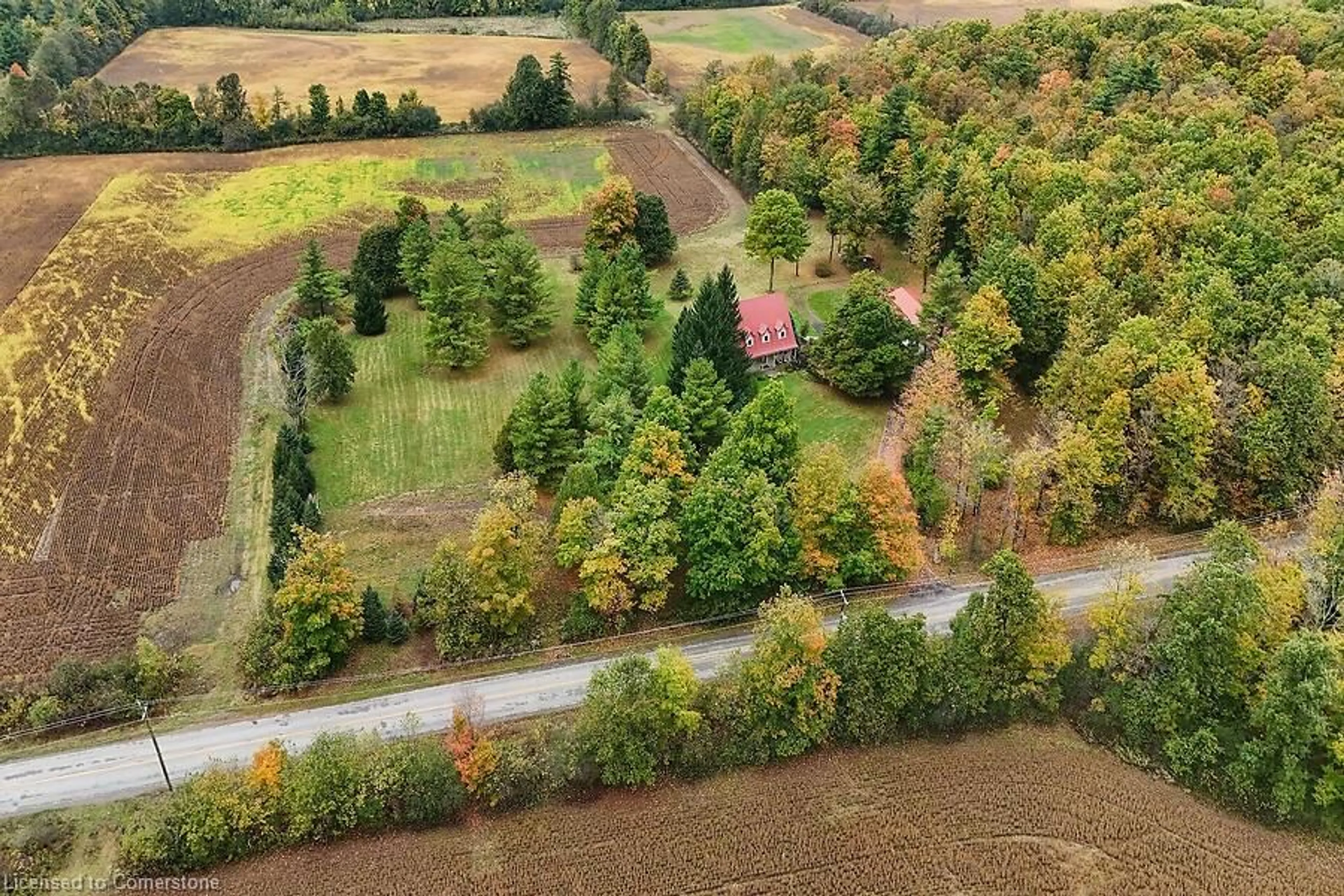 A pic from outside/outdoor area/front of a property/back of a property/a pic from drone, forest/trees view for 1229 Valens Rd, Flamborough Ontario L0R 1X0