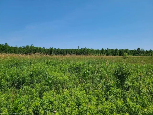 108 Ugovsek Cres, Meaford 5