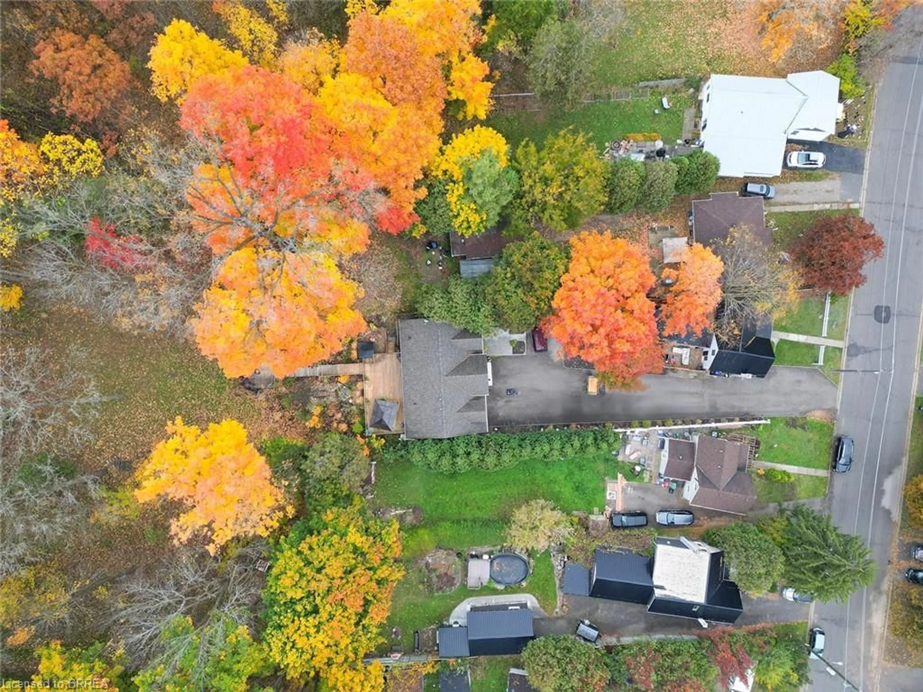 A pic from outside/outdoor area/front of a property/back of a property/a pic from drone, forest/trees view for 75 Washington St, Paris Ontario N3L 2A6