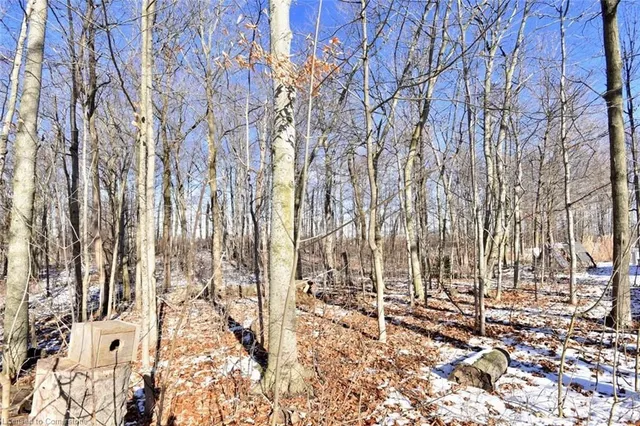 Additional image 4 of 9360 Dickenson Road Rd