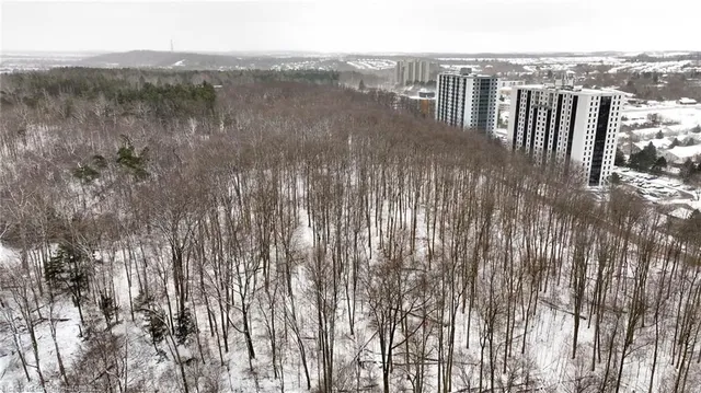 Additional property image - 35 Green Valley Dr Unit 1514