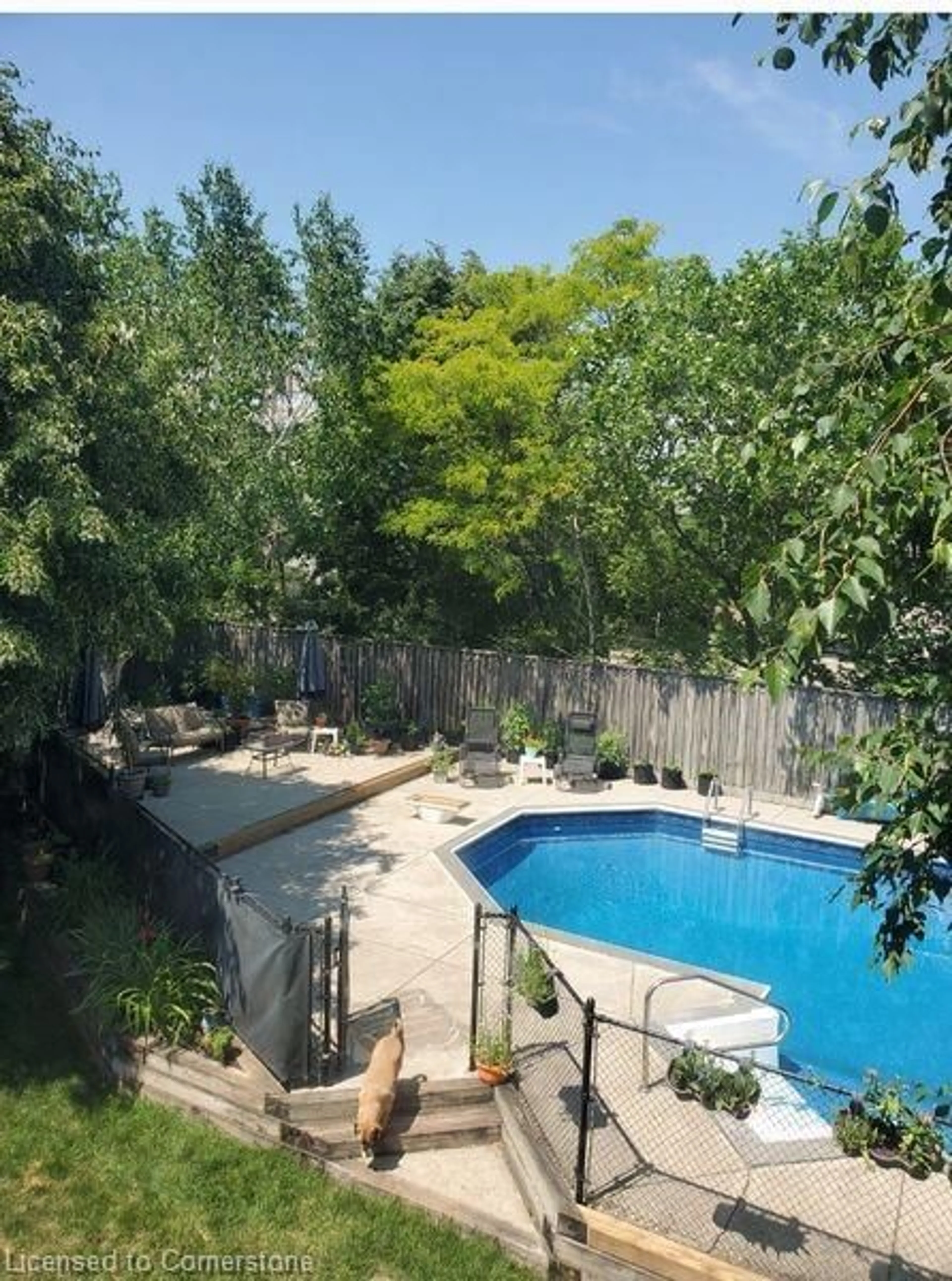 Pool for 11 Pecan Crt, Stoney Creek Ontario L8G 4L6