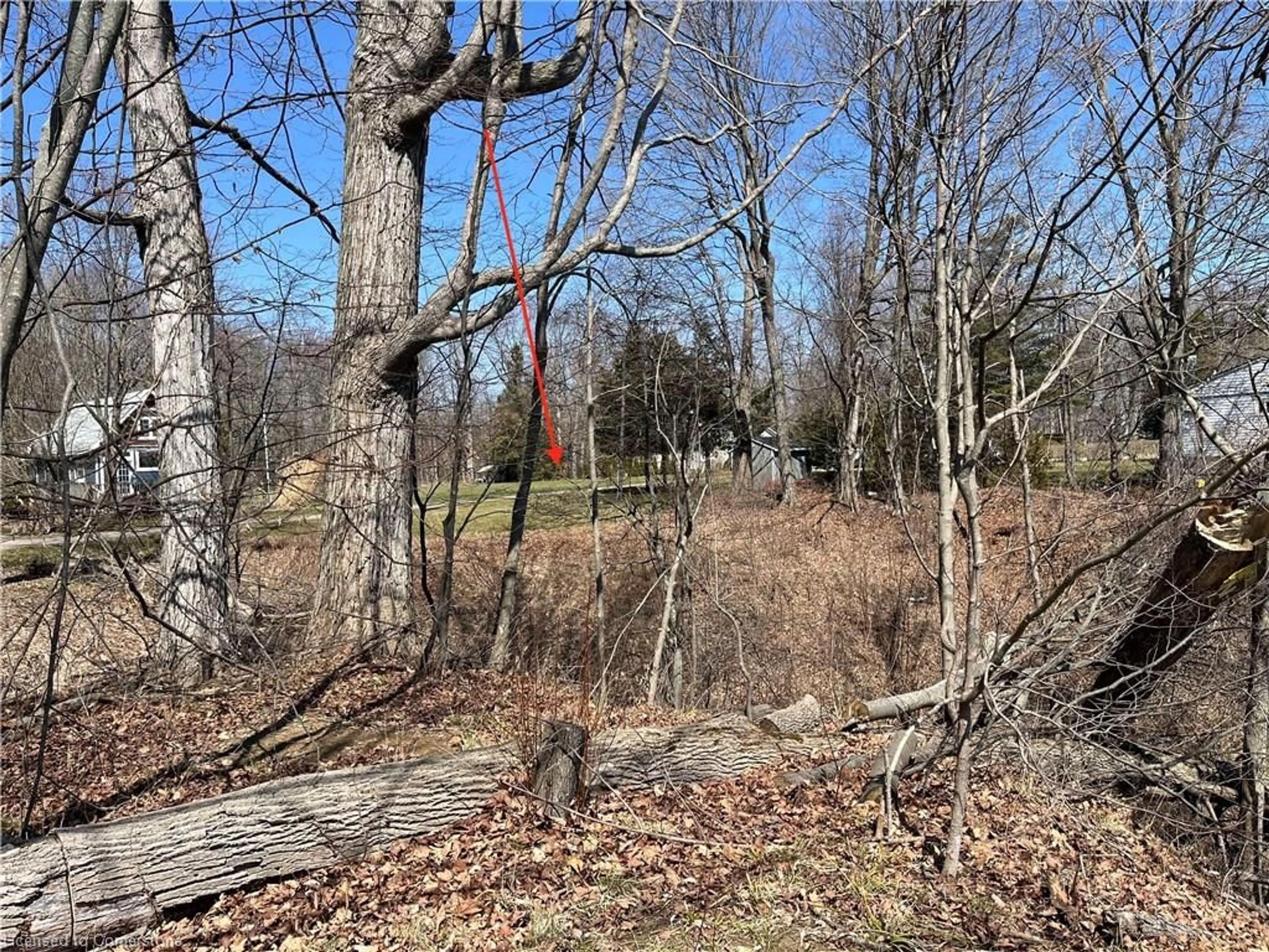 A pic from outside/outdoor area/front of a property/back of a property/a pic from drone, forest/trees view for 527 Avalon Lane, Simcoe Ontario N3Y 4K2