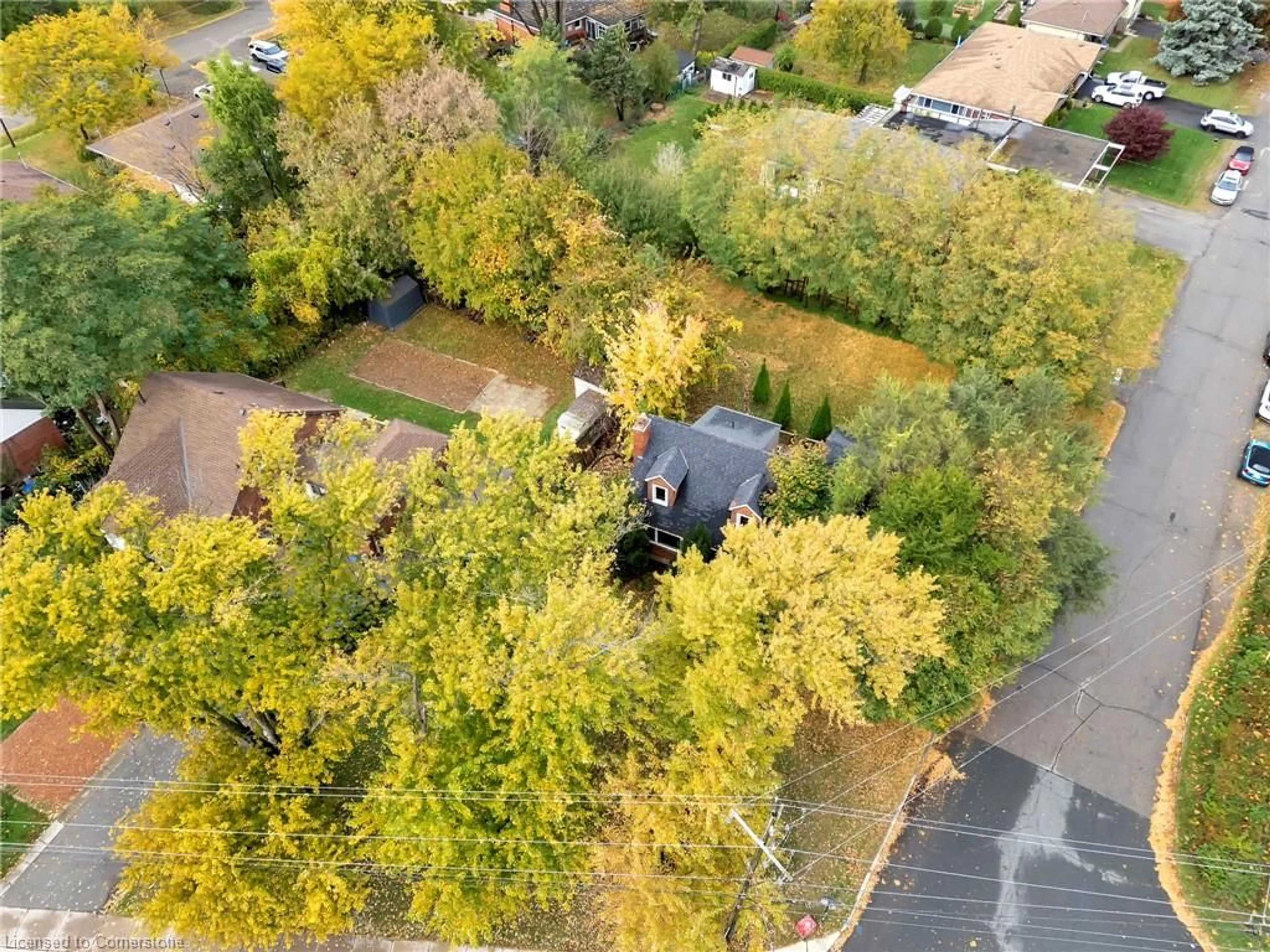 A pic from outside/outdoor area/front of a property/back of a property/a pic from drone, forest/trees view for 121 King St, Stoney Creek Ontario L8G 1L2