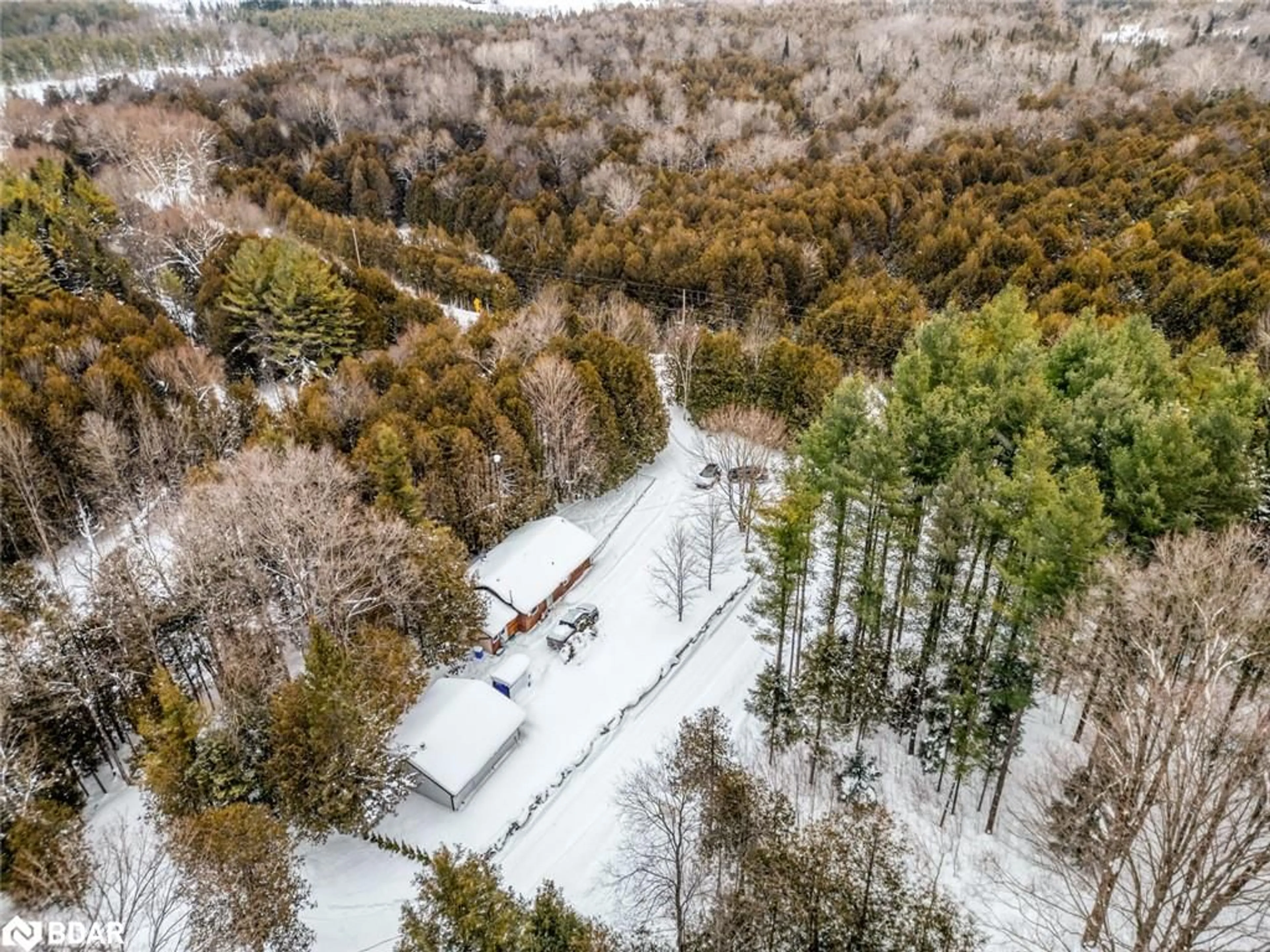 A pic from outside/outdoor area/front of a property/back of a property/a pic from drone, forest/trees view for 493824 Baptist Church Road, Priceville Ontario N0C 1K0