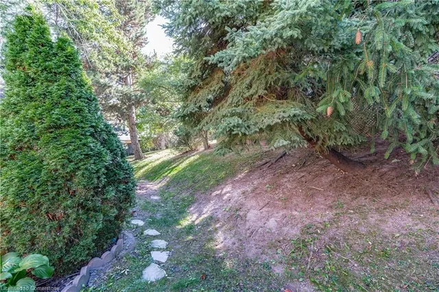 Additional property image - 1419 Ester Dr