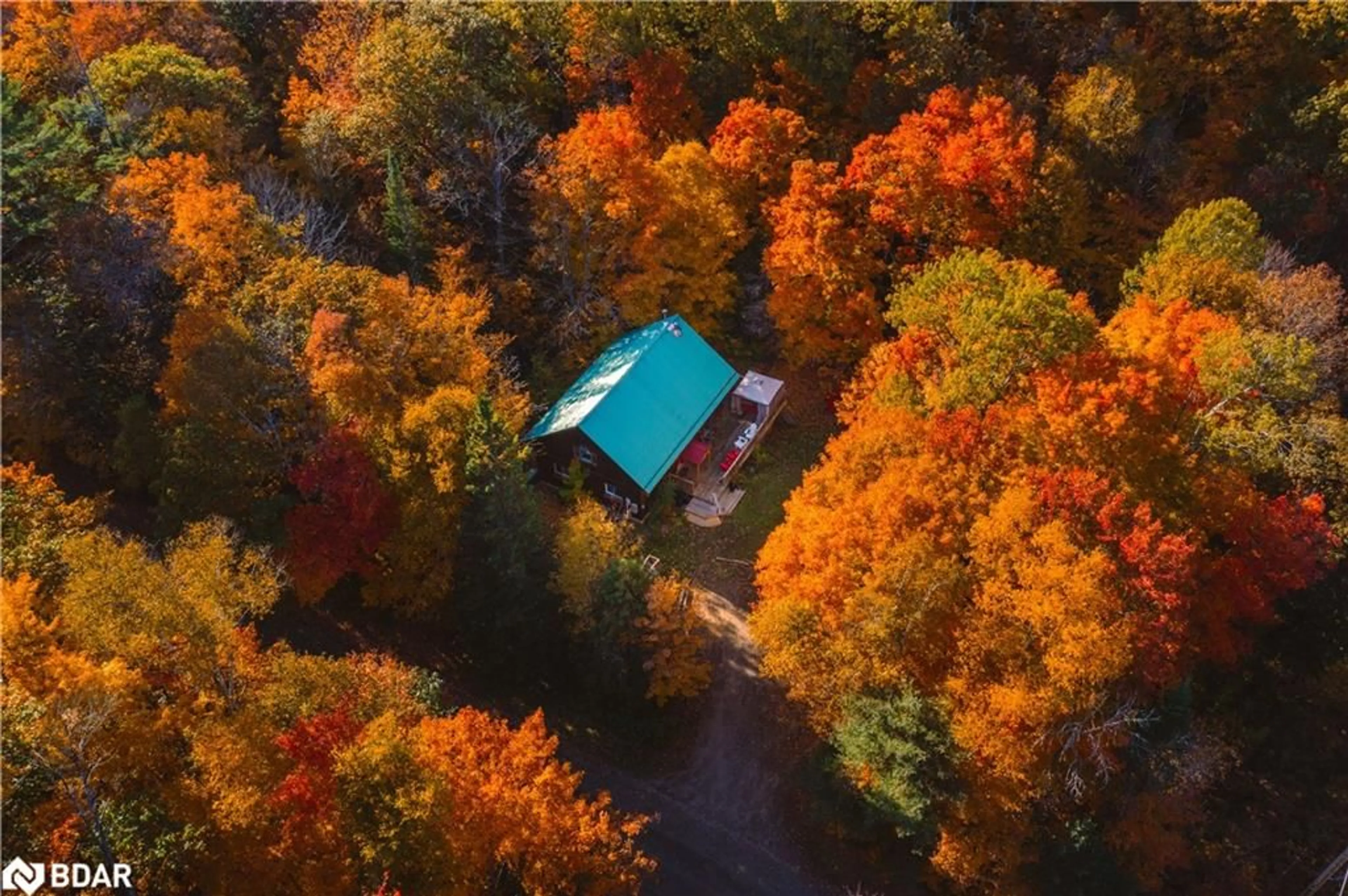 A pic from outside/outdoor area/front of a property/back of a property/a pic from drone, forest/trees view for 1046 Pine Springs Rd, Algonquin Highlands Ontario K0M 2K0