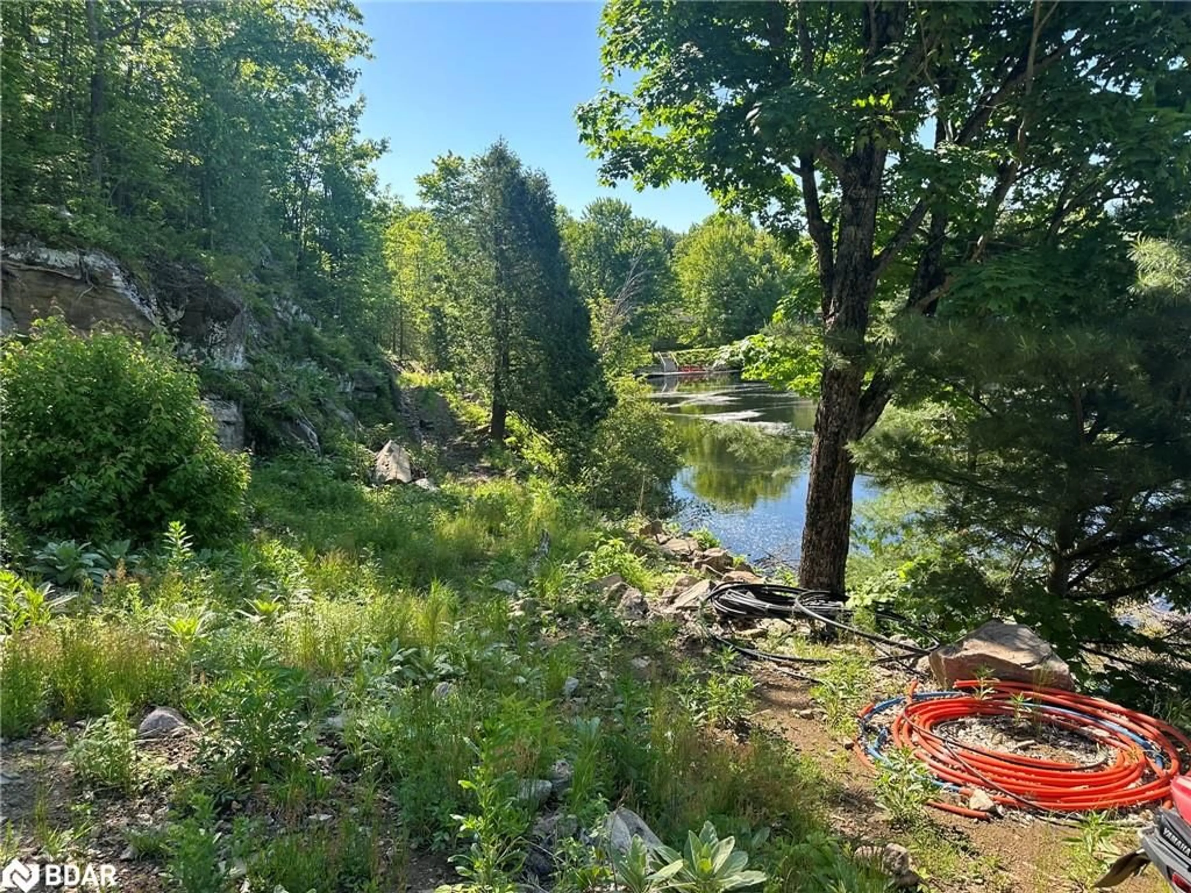 A pic from outside/outdoor area/front of a property/back of a property/a pic from drone, forest/trees view for 3950 Severn River Shore, Severn Bridge Ontario L0K 2B0