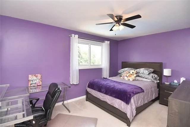 Additional property image - 3 Suter Cres
