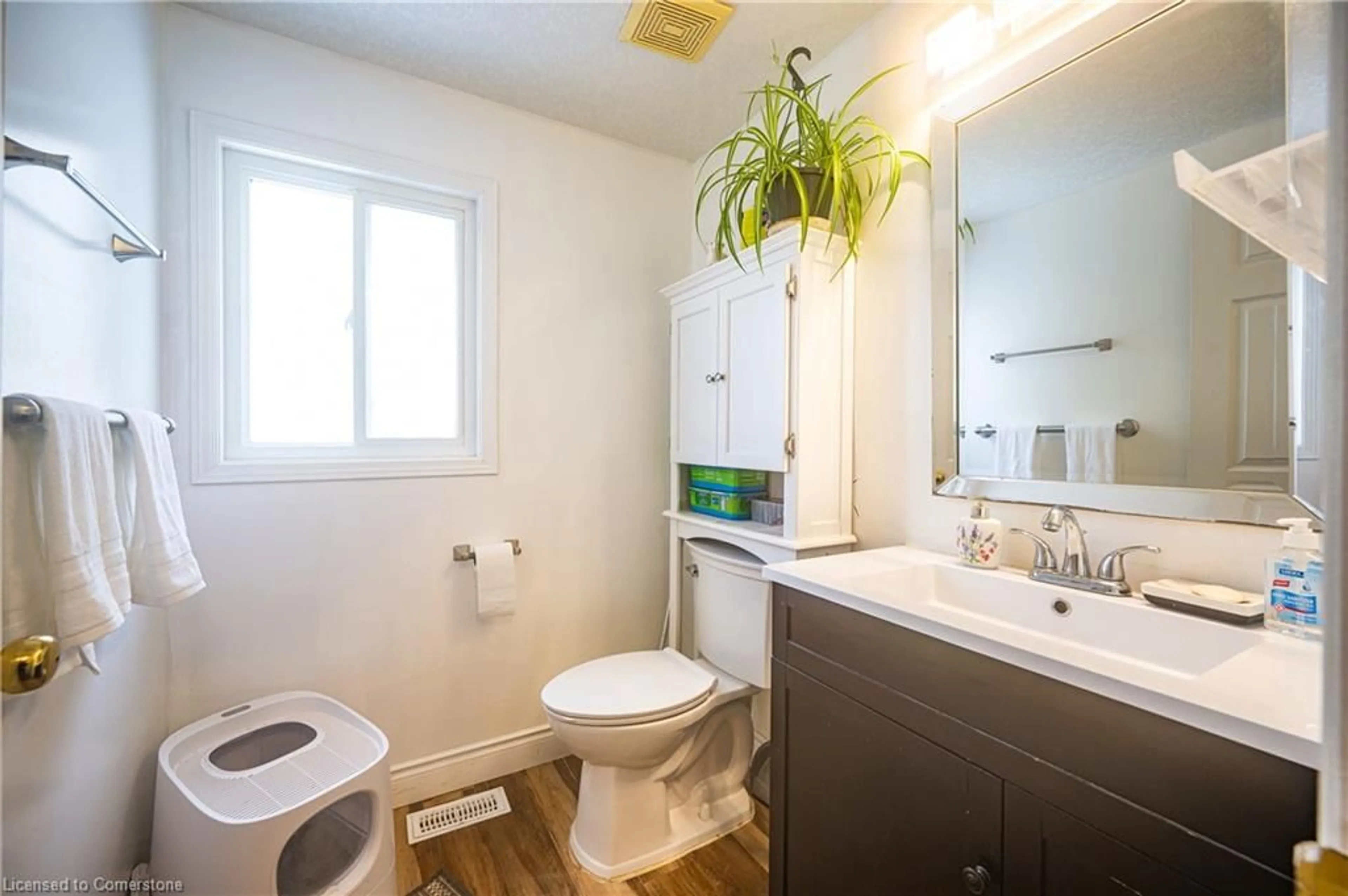 Standard bathroom, unknown for 39 Dahlia St, Kitchener Ontario N2E 3Y9