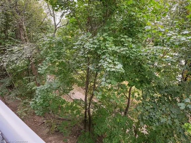Additional property image - 479 Charlton Ave Unit 204