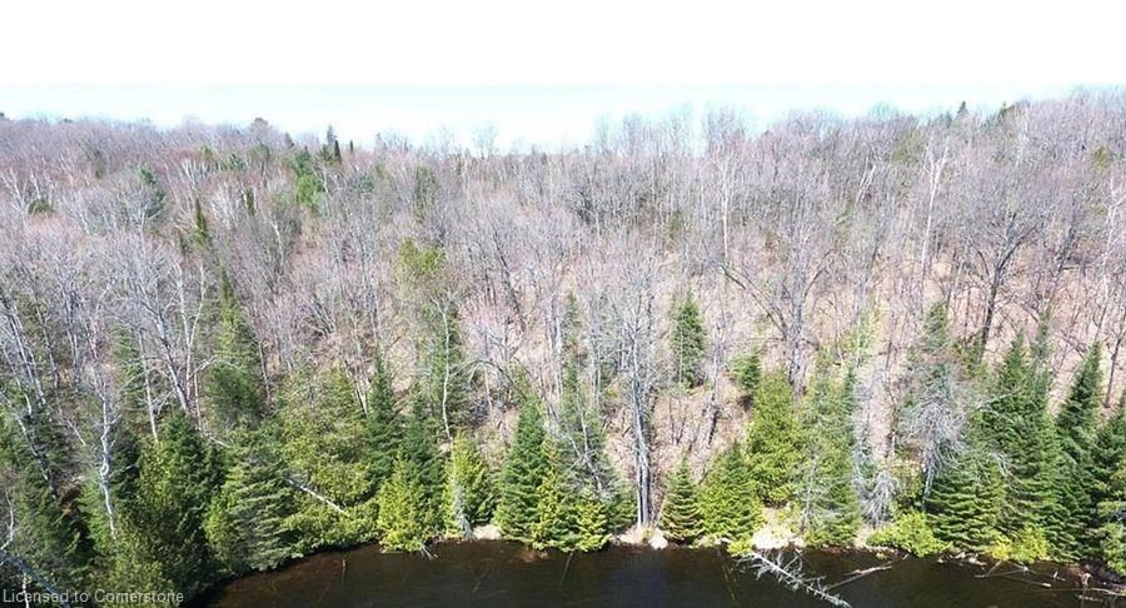 A pic from outside/outdoor area/front of a property/back of a property/a pic from drone, forest/trees view for 0 Contau Lake Rd, Haliburton Ontario K0M 1R0