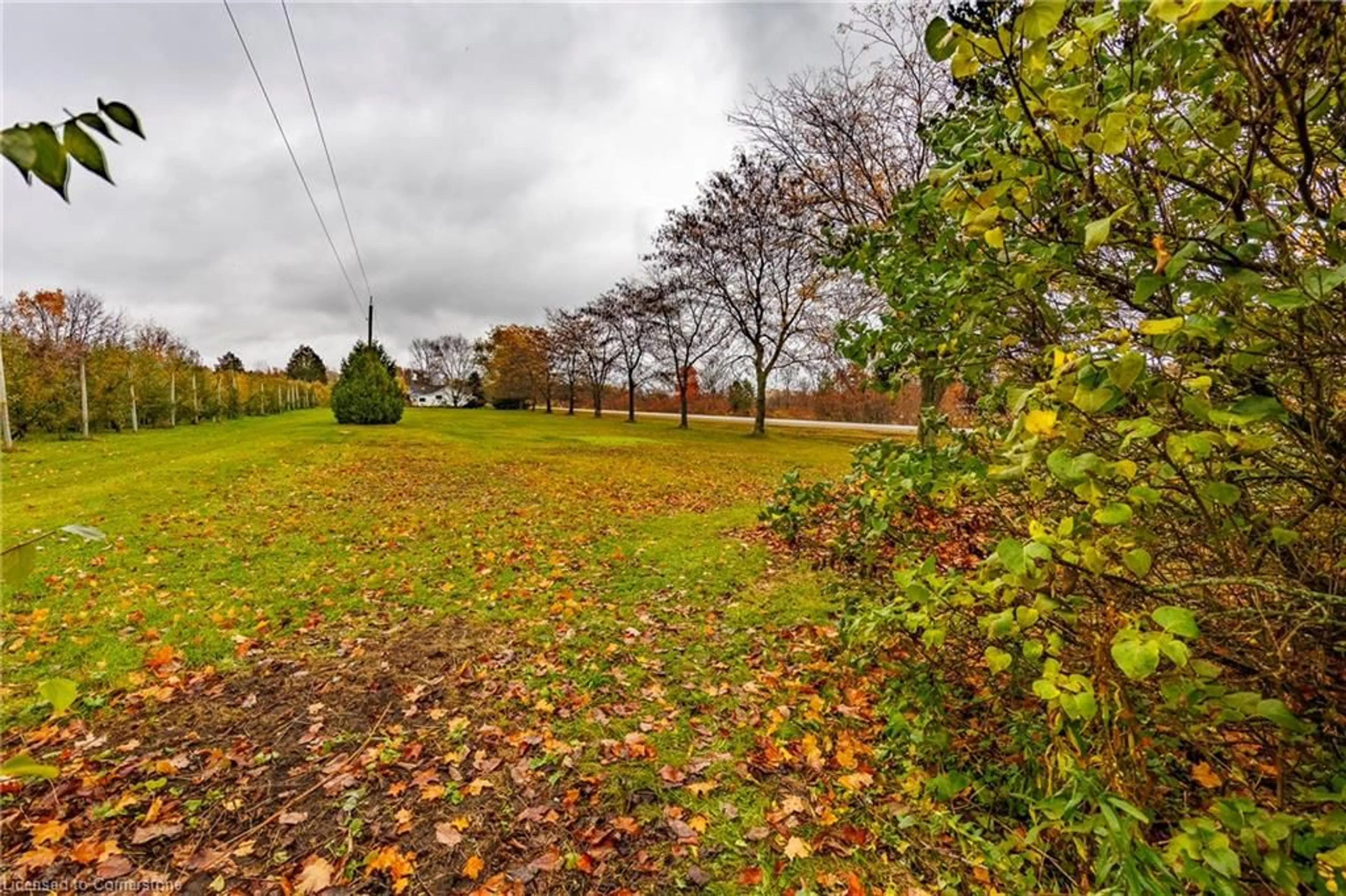 A pic from outside/outdoor area/front of a property/back of a property/a pic from drone, forest/trees view for 1247 Regional 9 Rd, Windham Ontario N0E 2A0