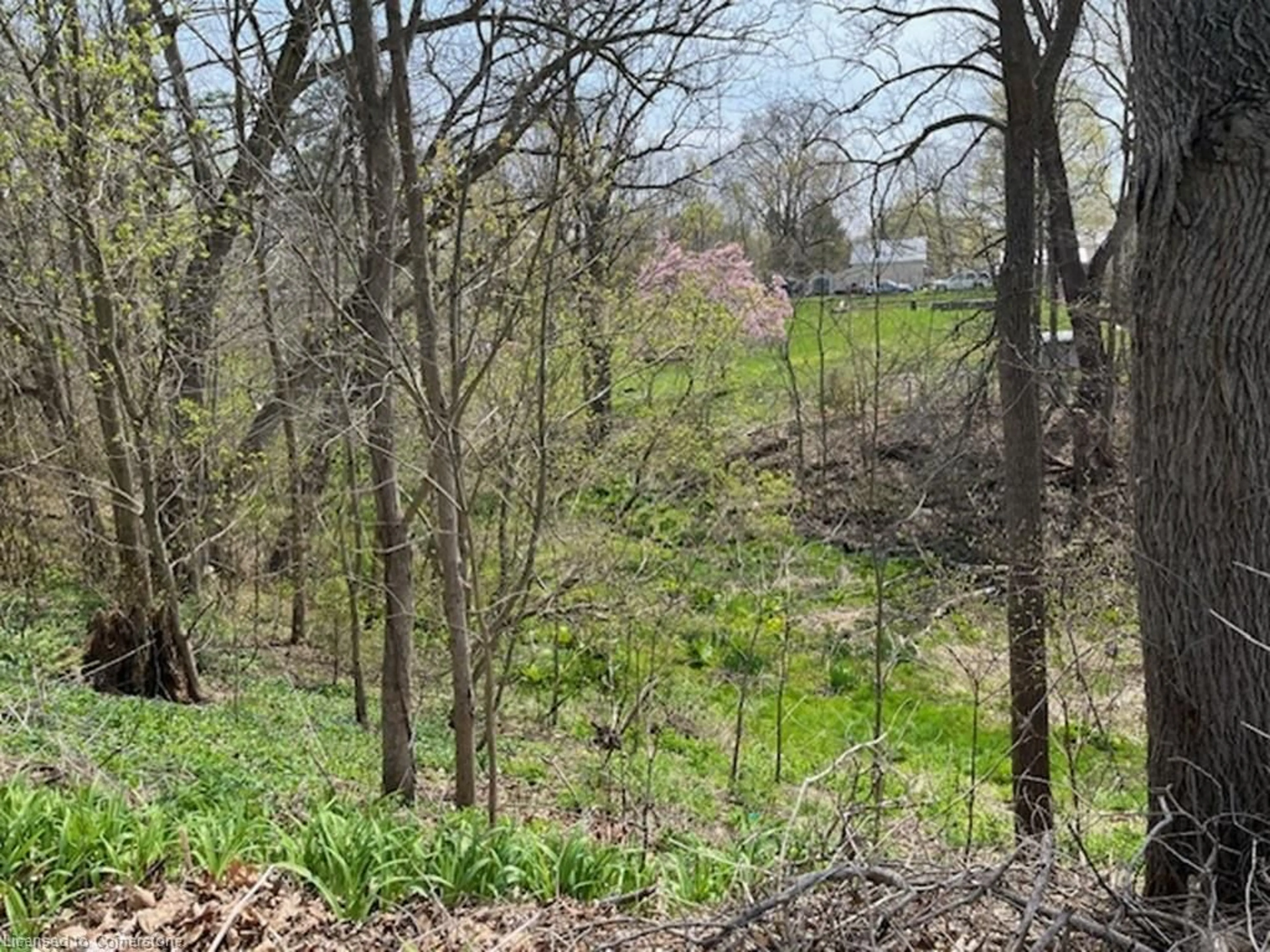 A pic from outside/outdoor area/front of a property/back of a property/a pic from drone, forest/trees view for 2056 Main St, Walsingham Ontario N0E 1X0